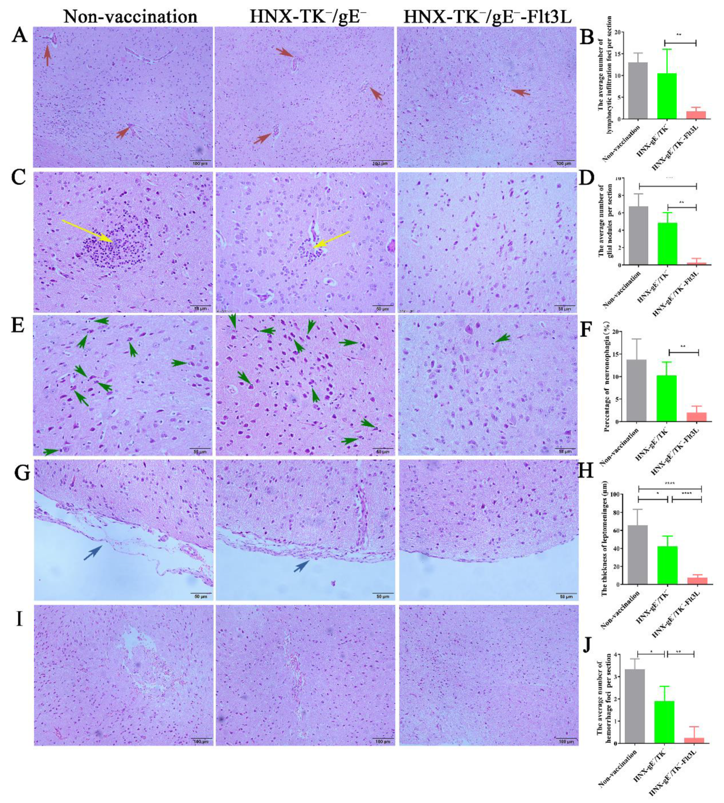 Viruses 13 00691 g008