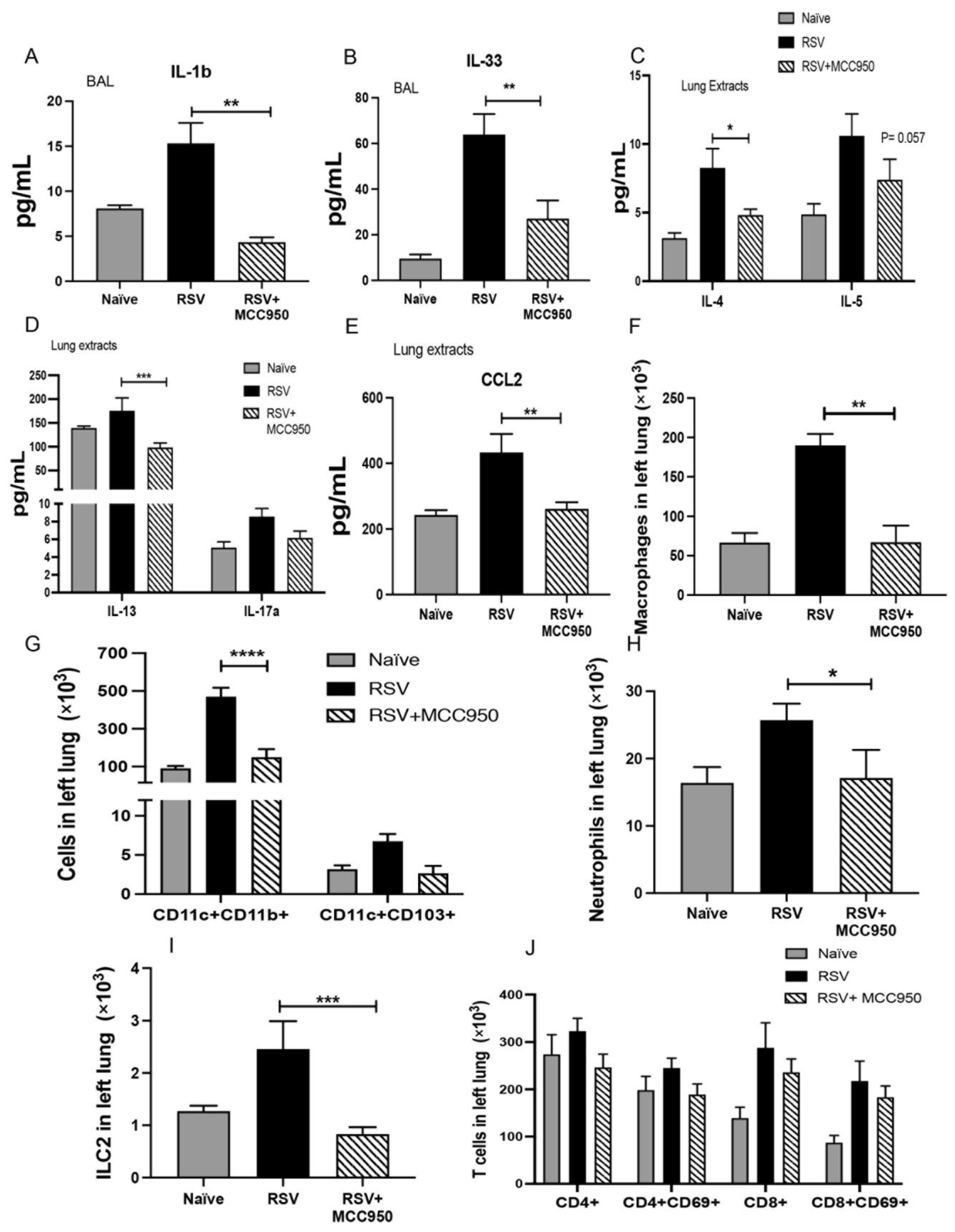 Viruses 13 00692 g002