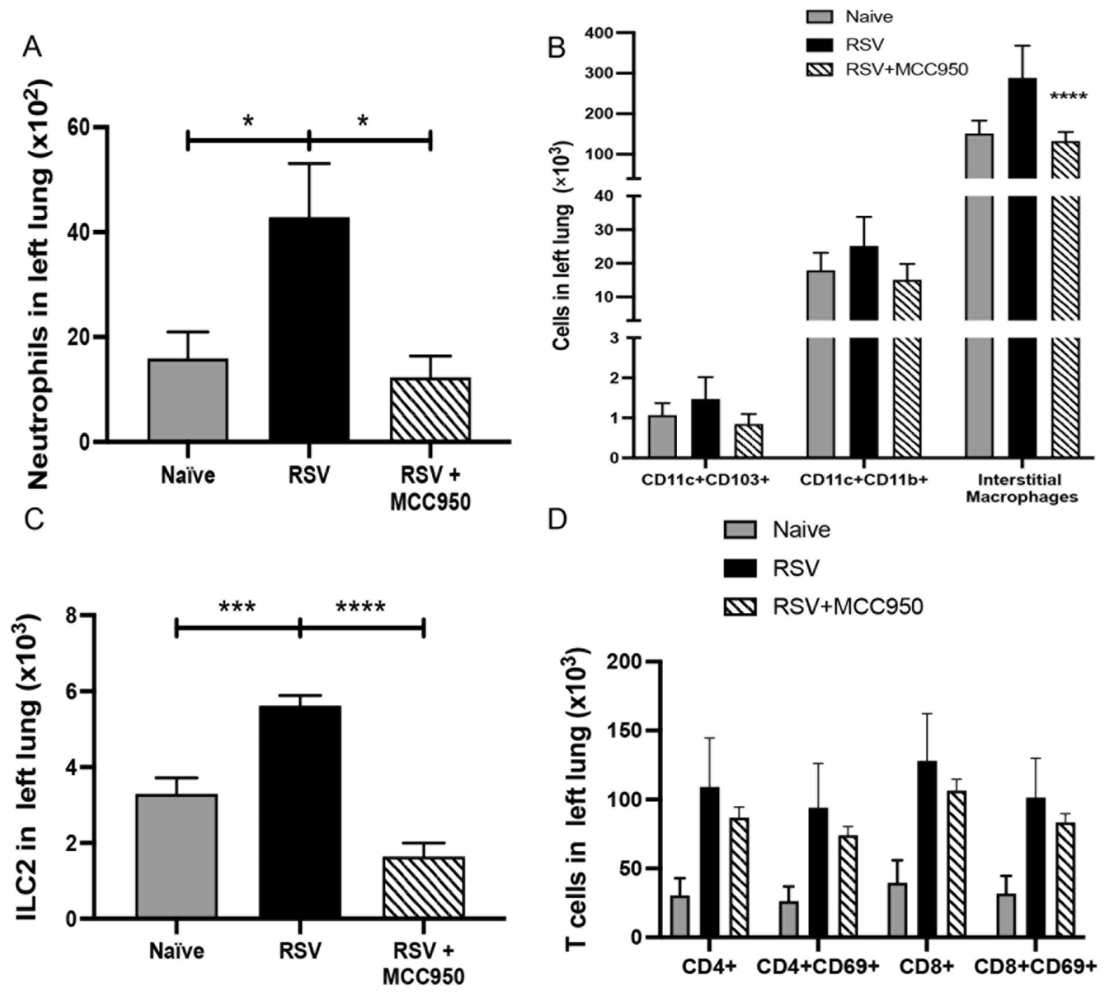 Viruses 13 00692 g004