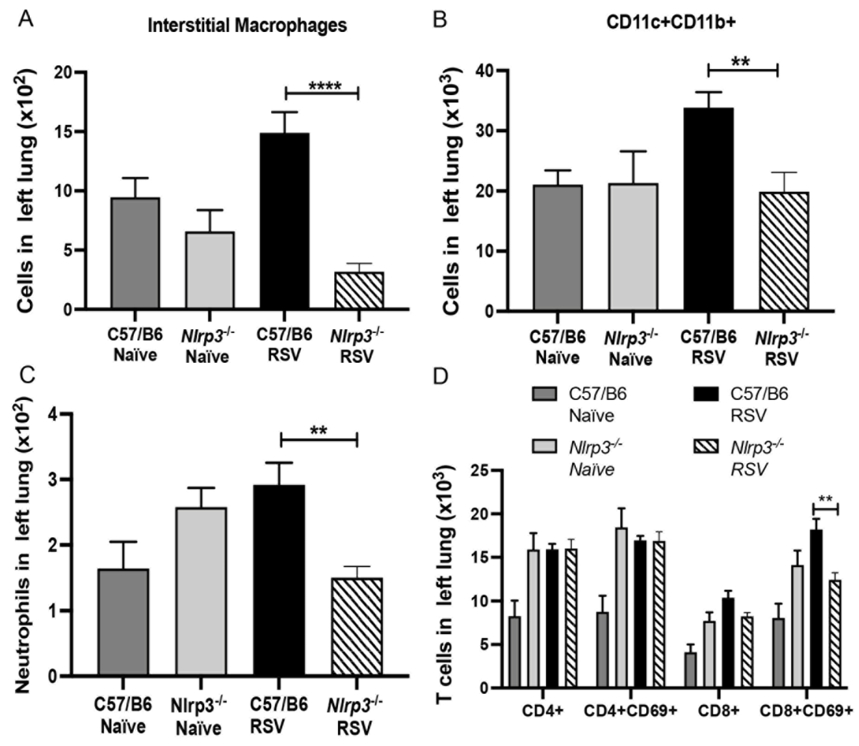 Viruses 13 00692 g006