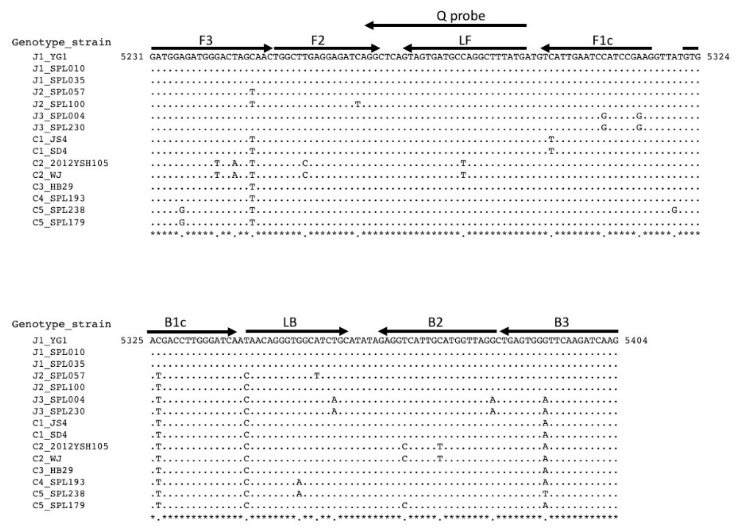 Viruses 13 00693 g001
