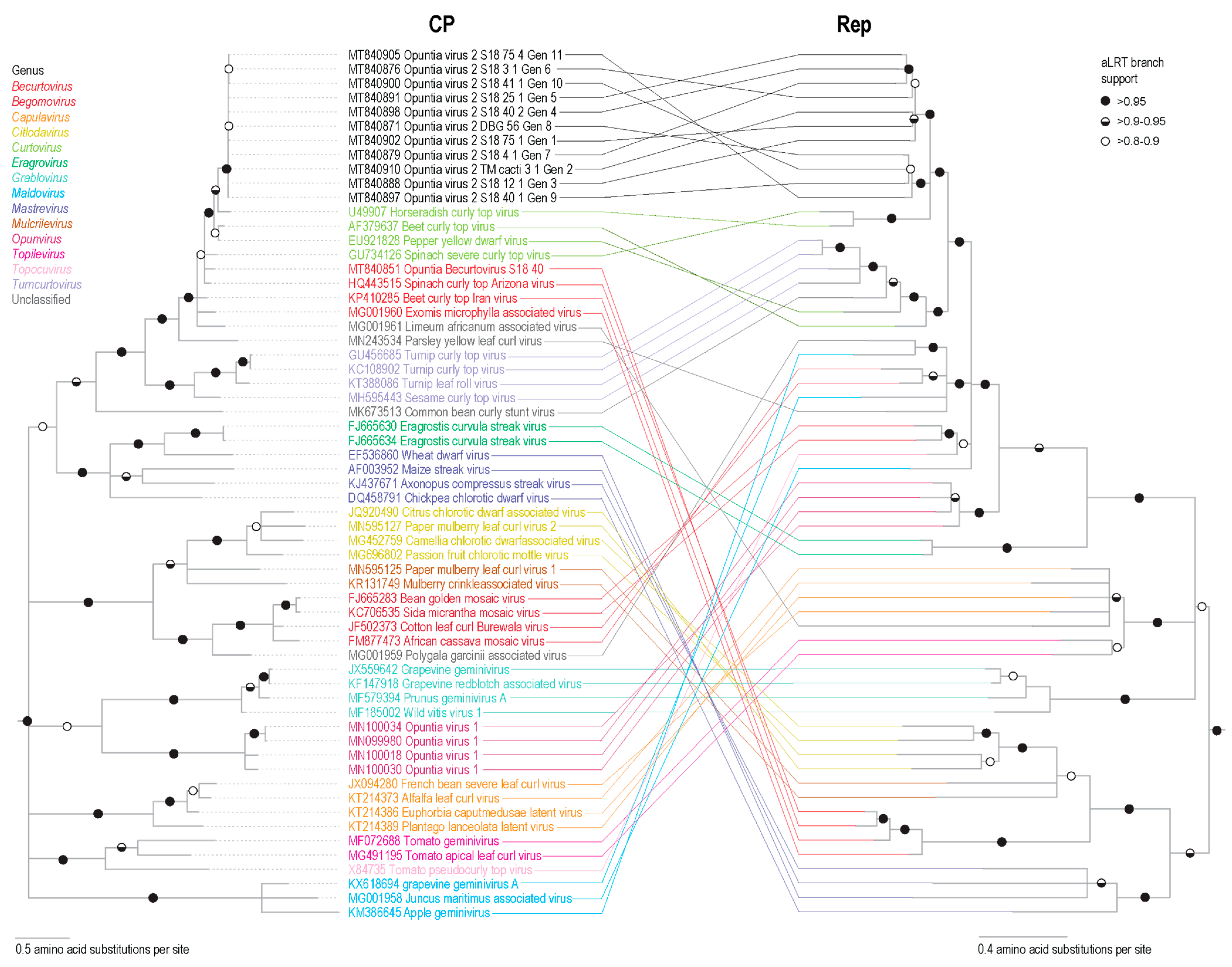Viruses 13 00694 g002