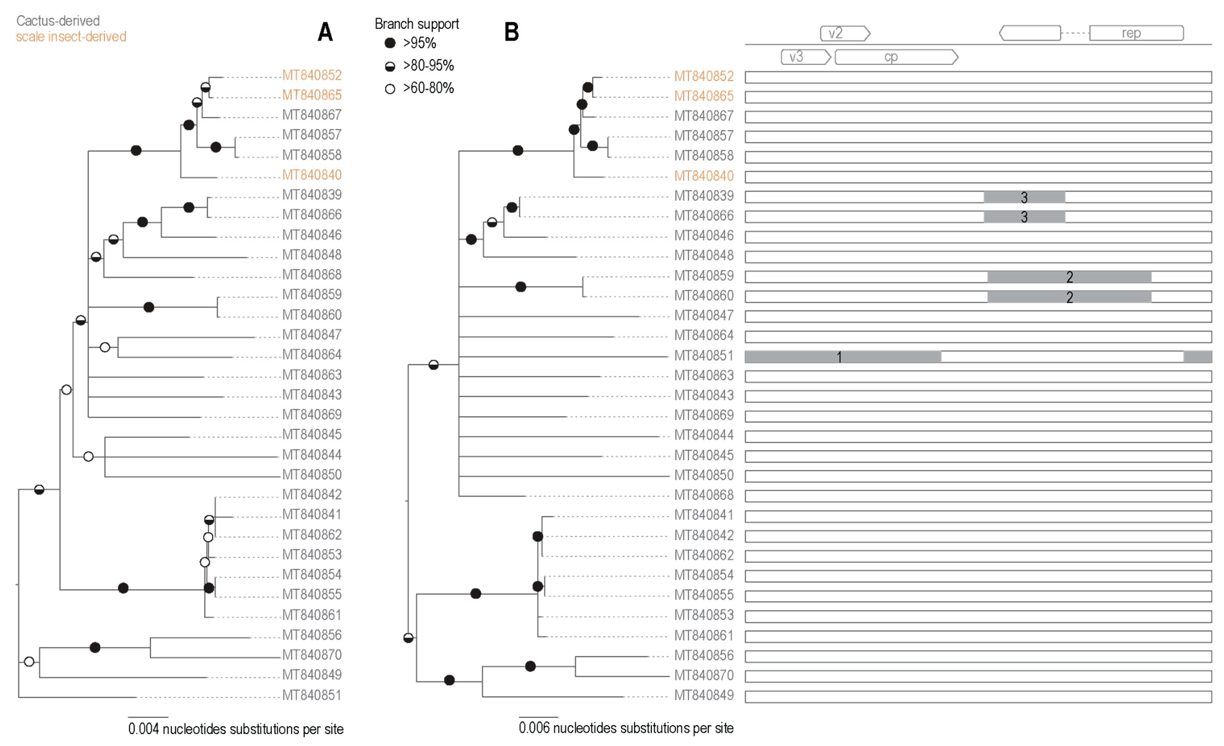 Viruses 13 00694 g004