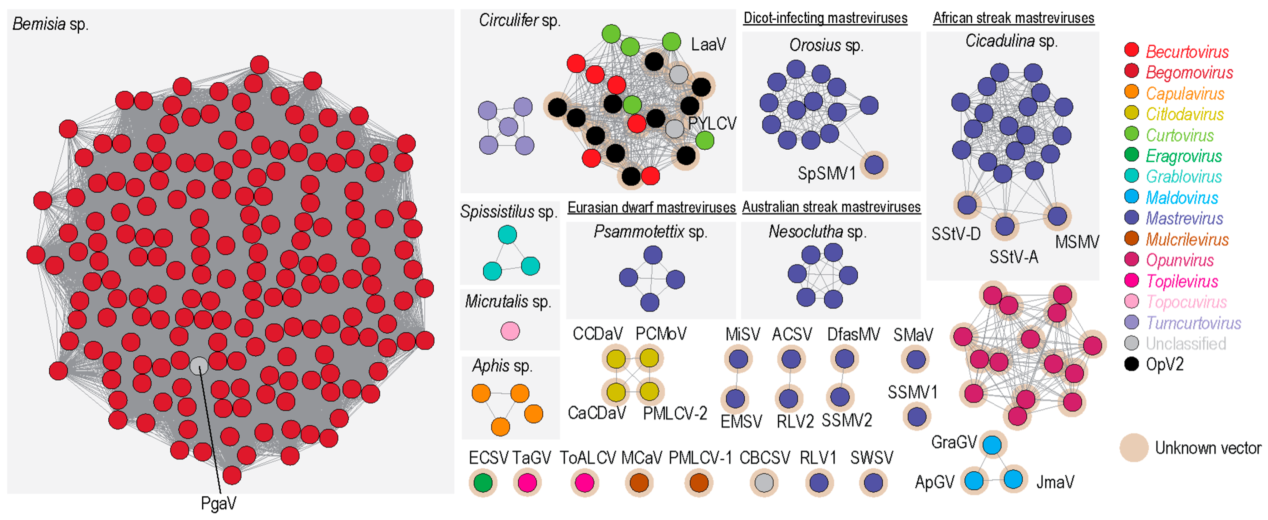 Viruses 13 00694 g008