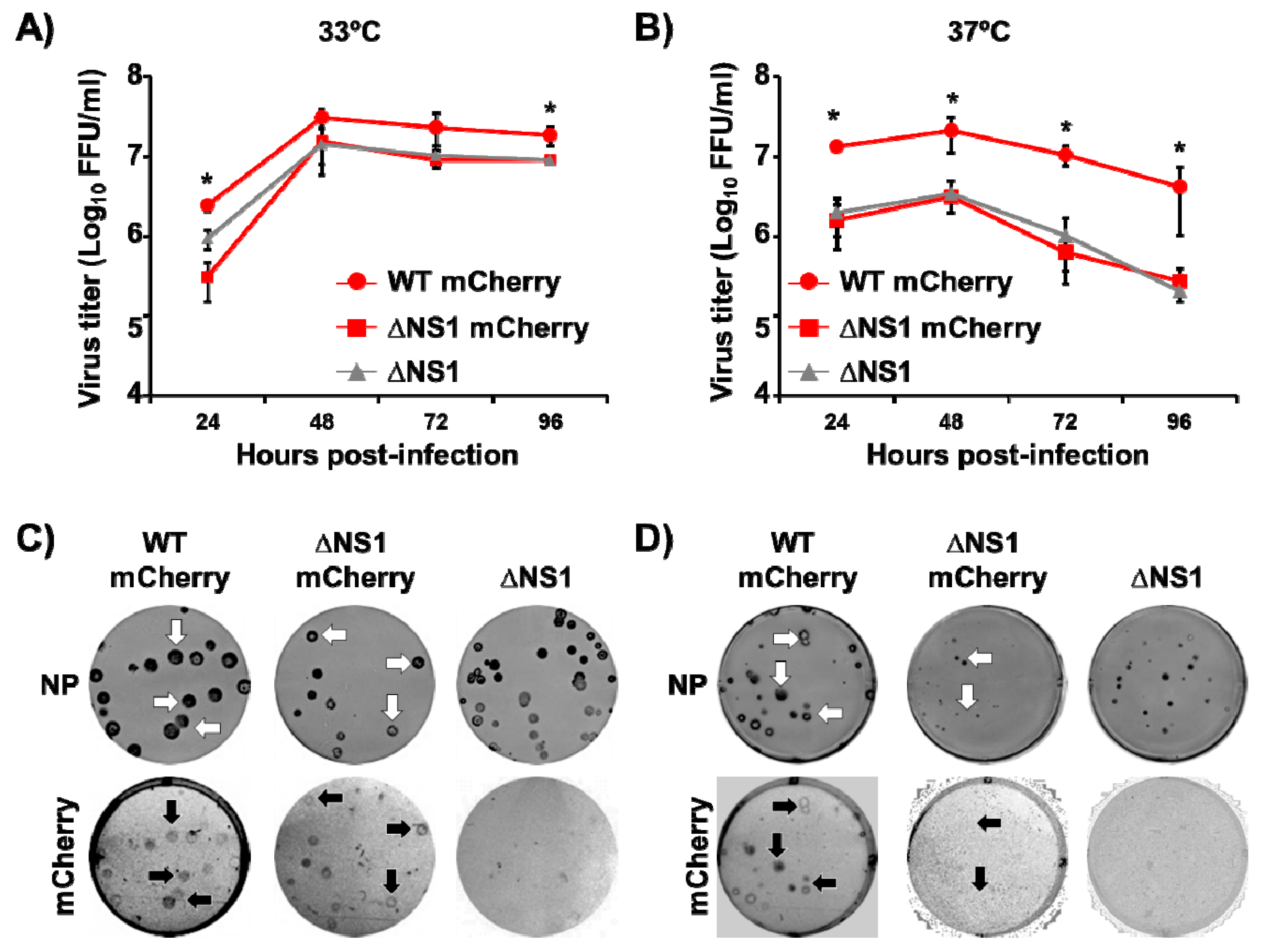 Viruses 13 00698 g003