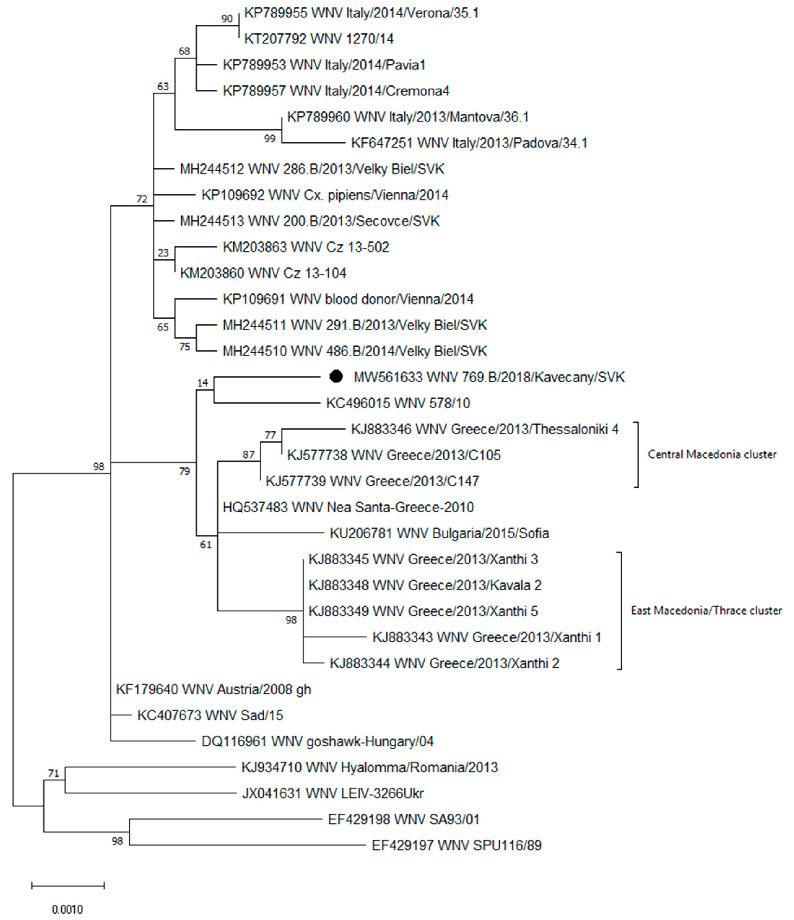 Viruses 13 00699 g001