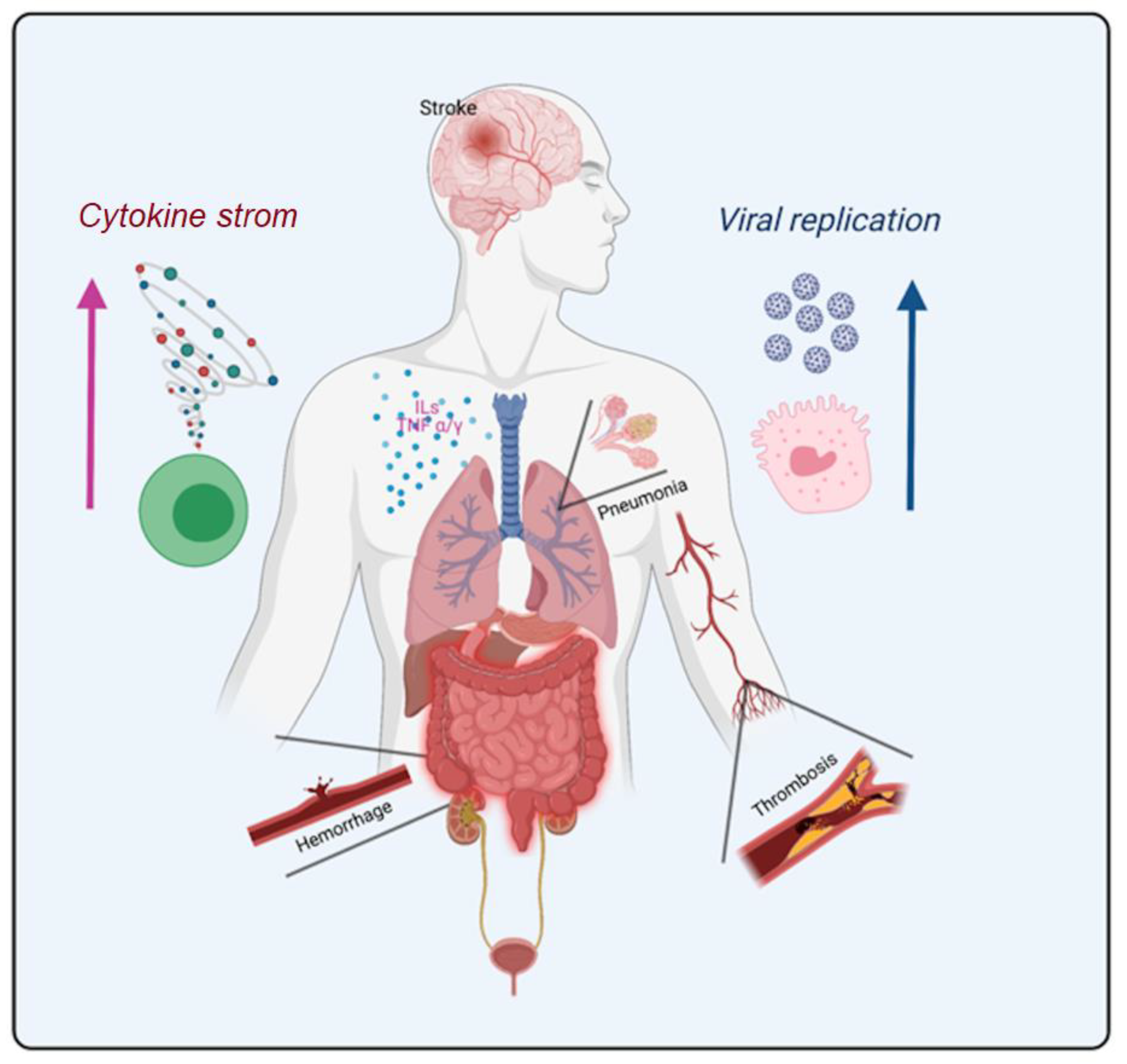 Viruses 13 00700 g003