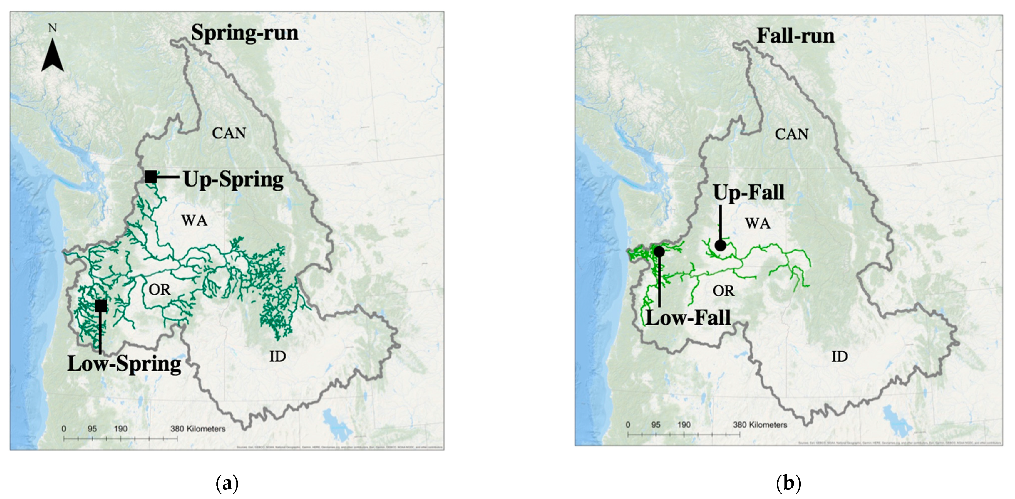 Viruses 13 00701 g001