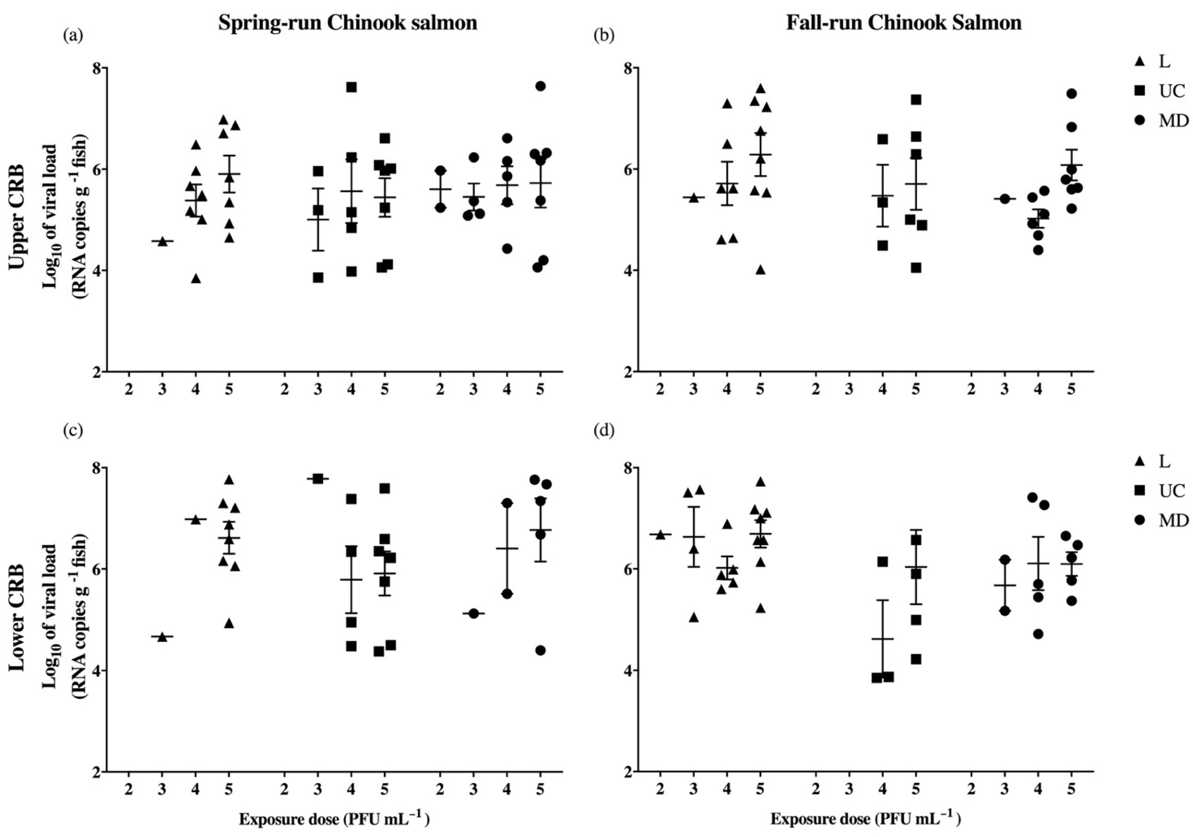 Viruses 13 00701 g004