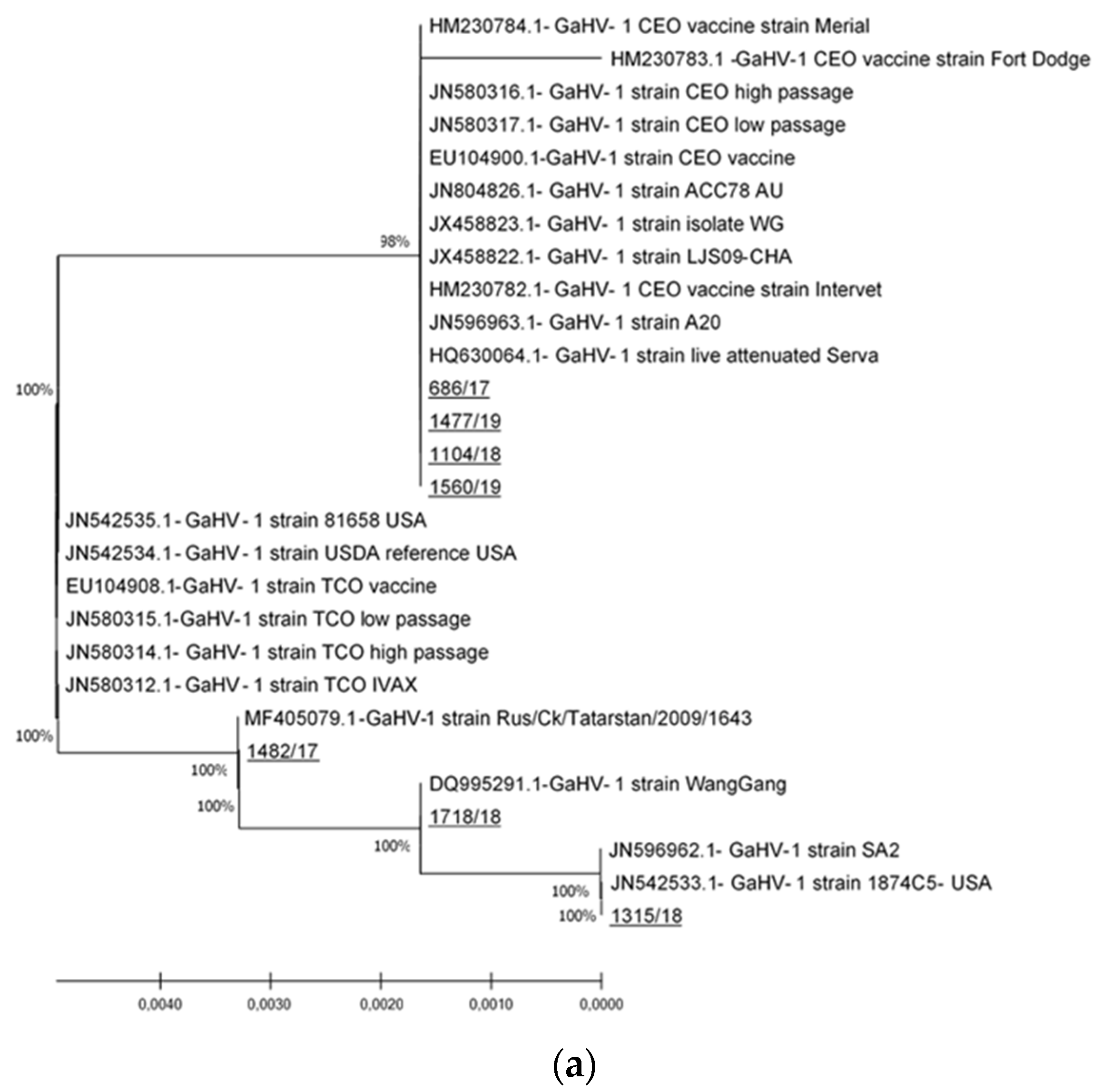 Viruses 13 00707 g002a