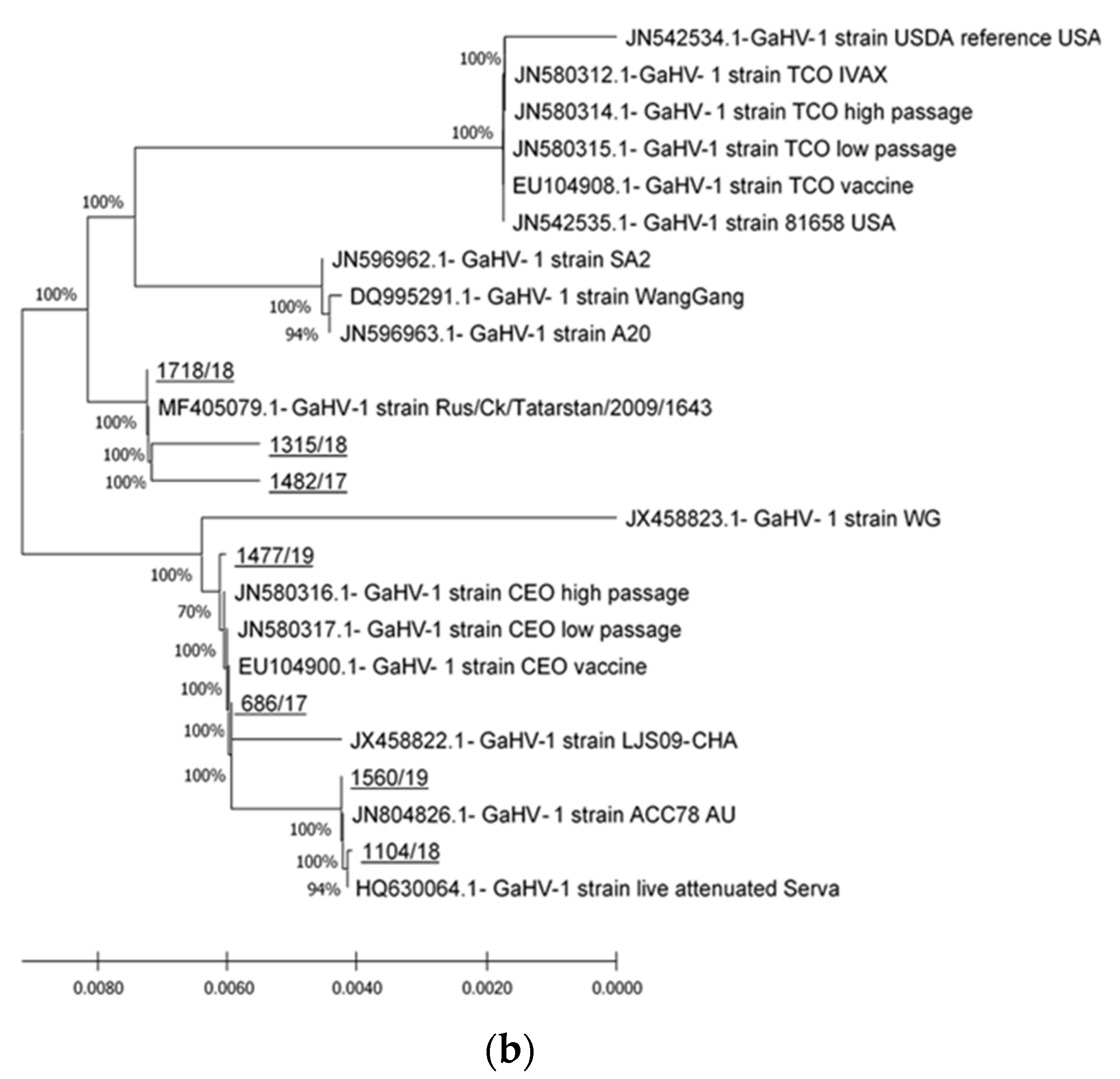 Viruses 13 00707 g002b
