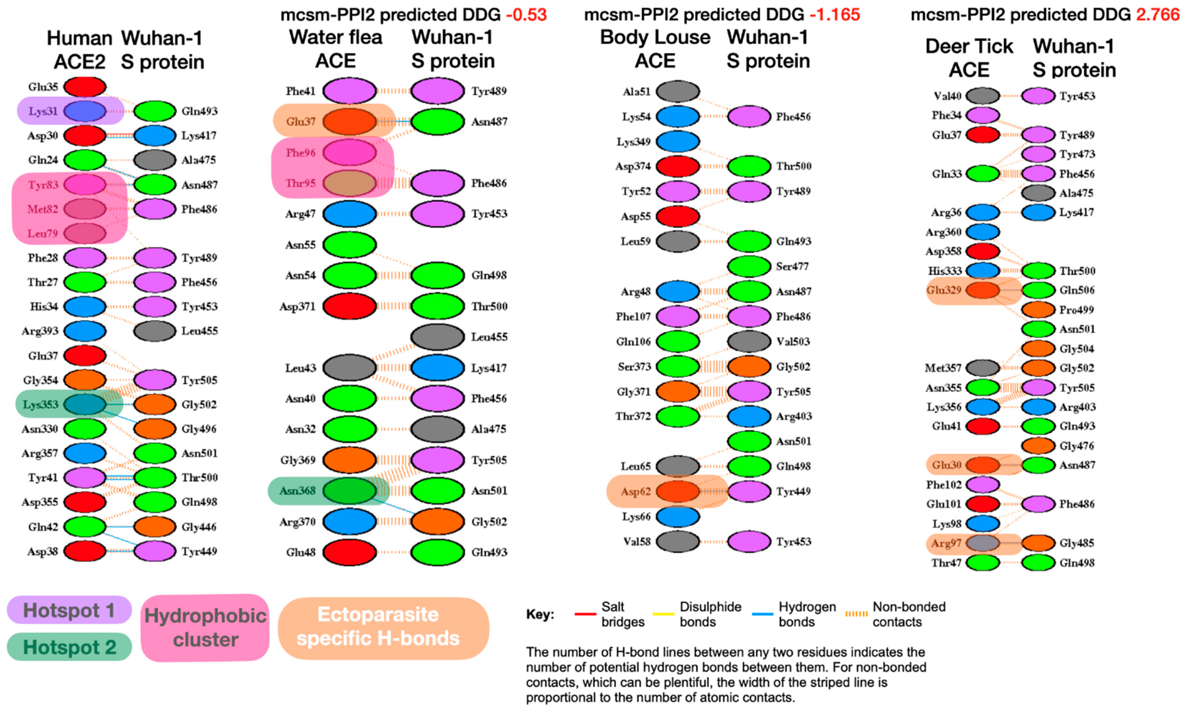 Viruses 13 00708 g001