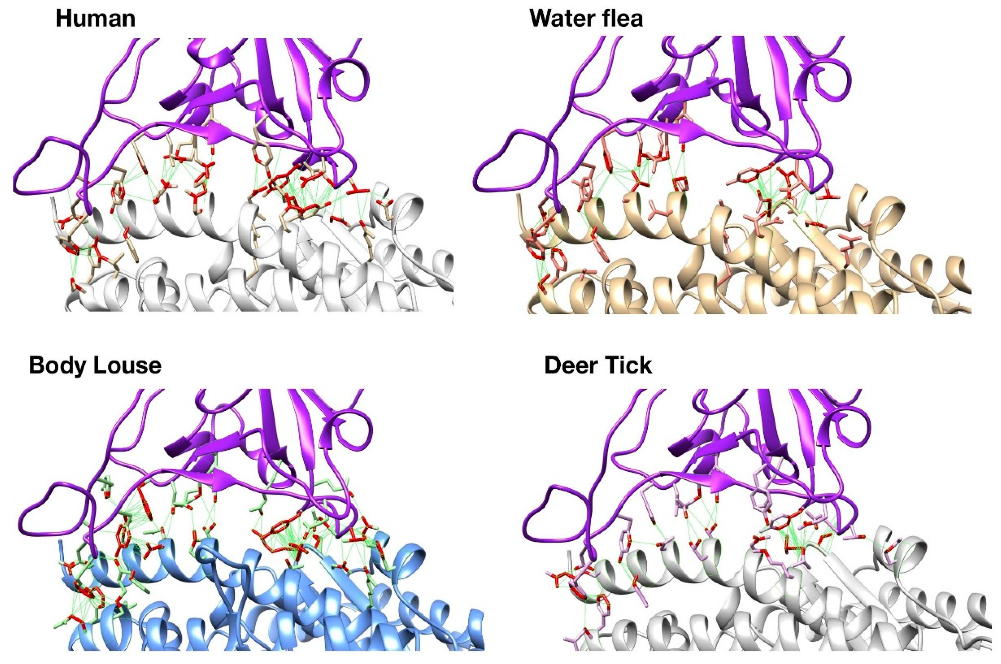 Viruses 13 00708 g002