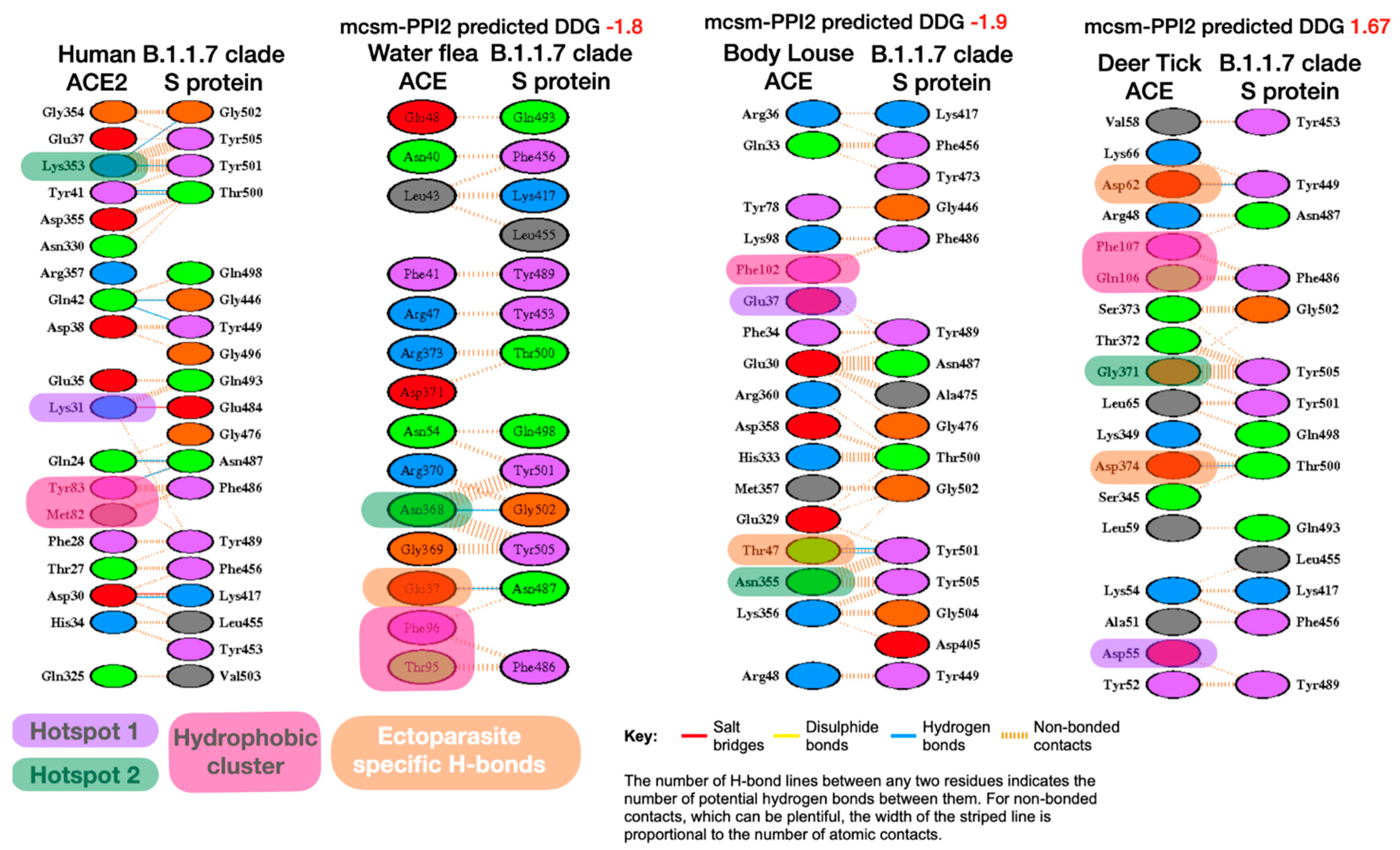 Viruses 13 00708 g003