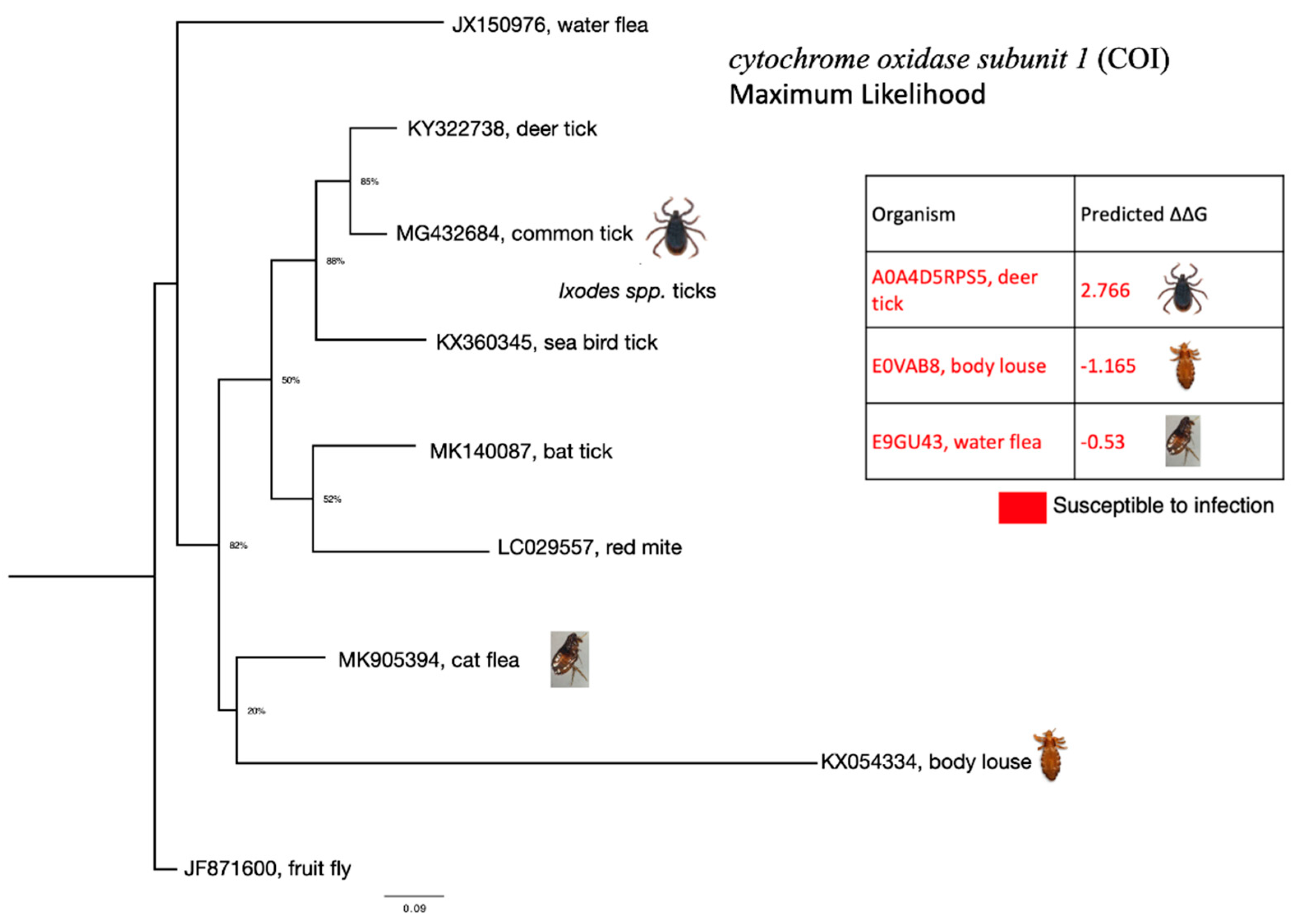 Viruses 13 00708 g005