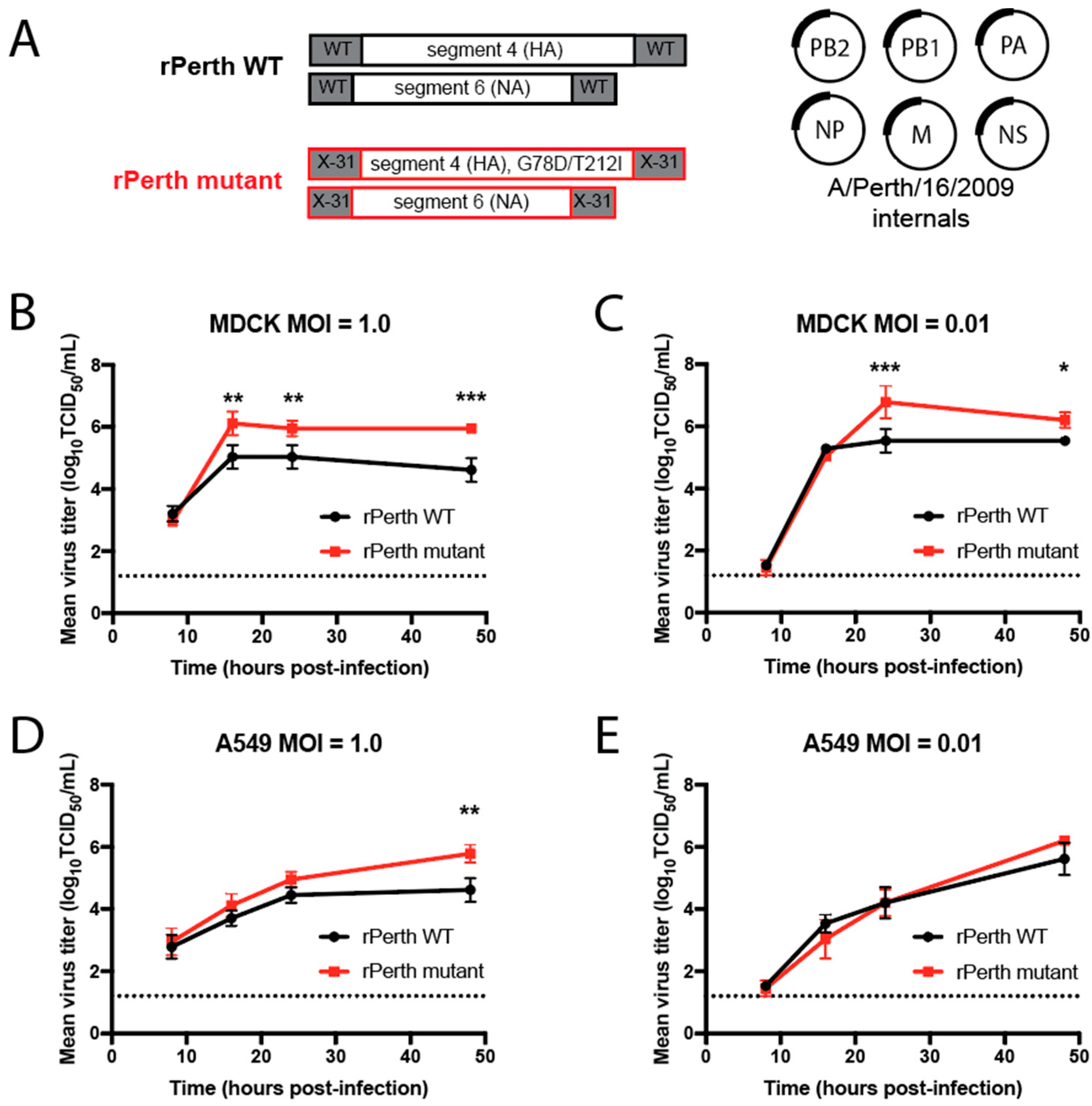 Viruses 13 00719 g001 Viruses 13 00719 g001