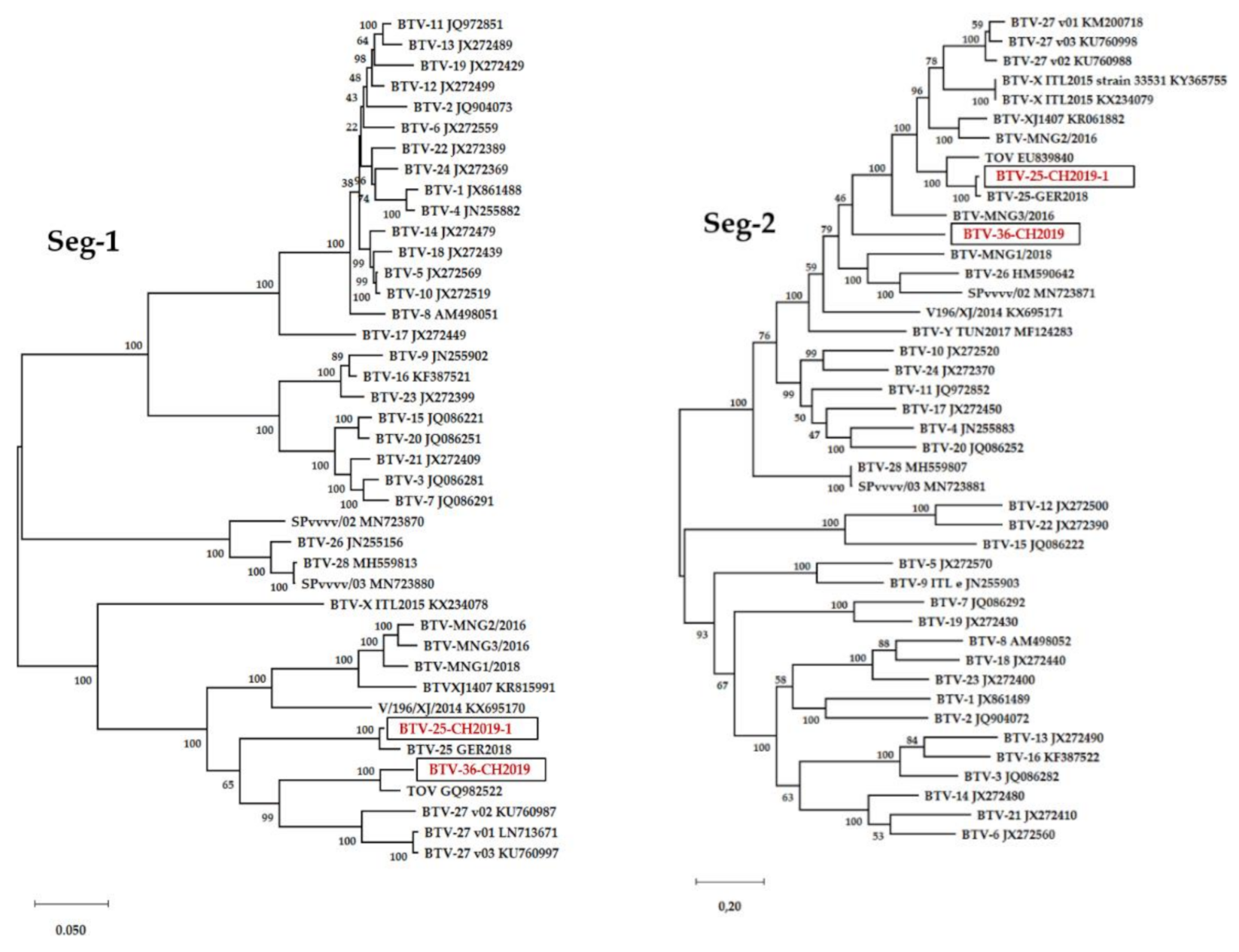 Viruses 13 00721 g002a