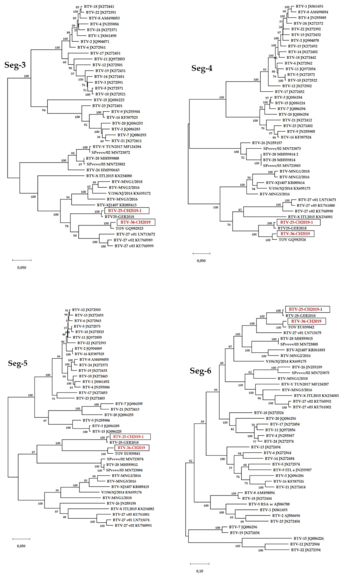 Viruses 13 00721 g002b
