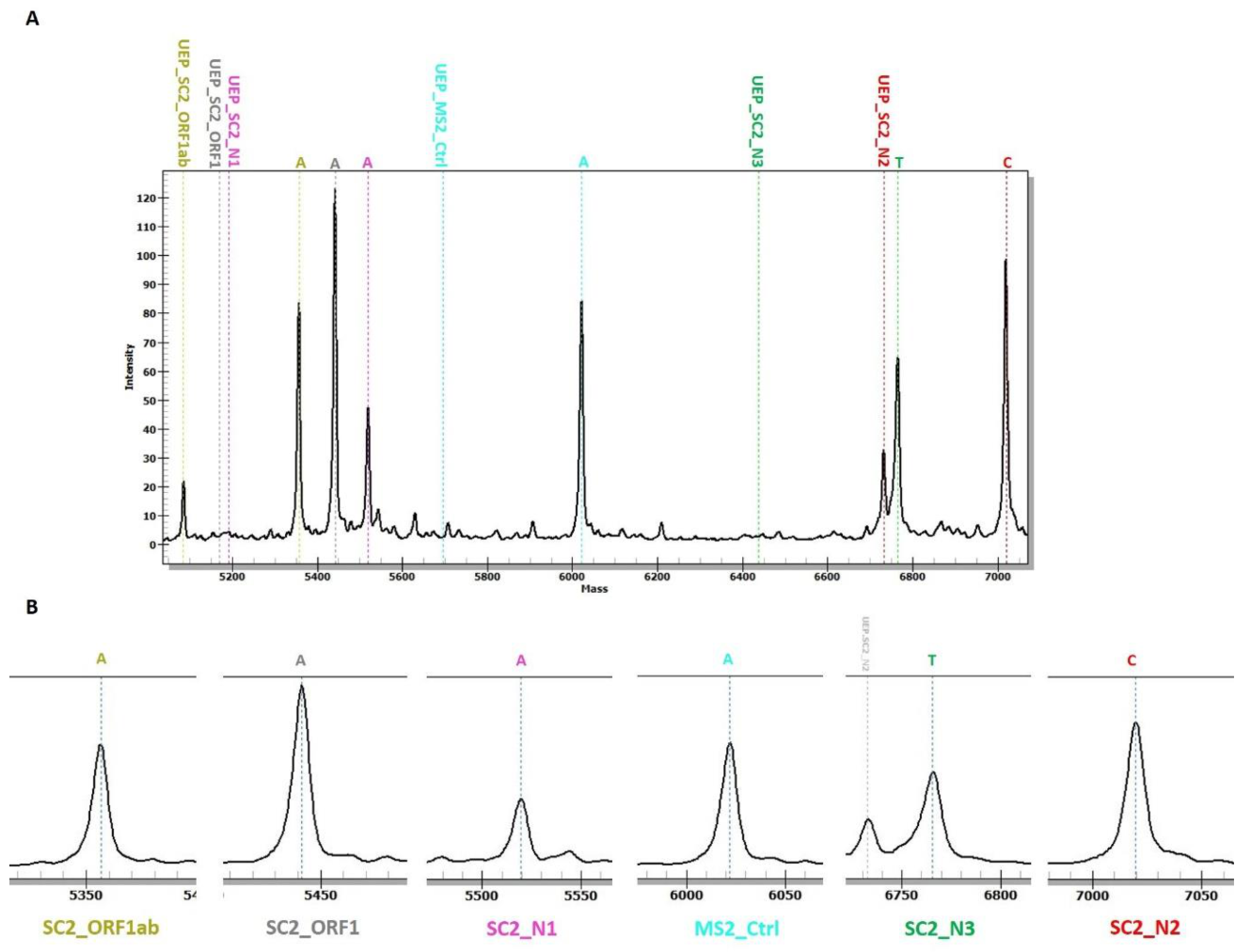Viruses 13 00730 g004
