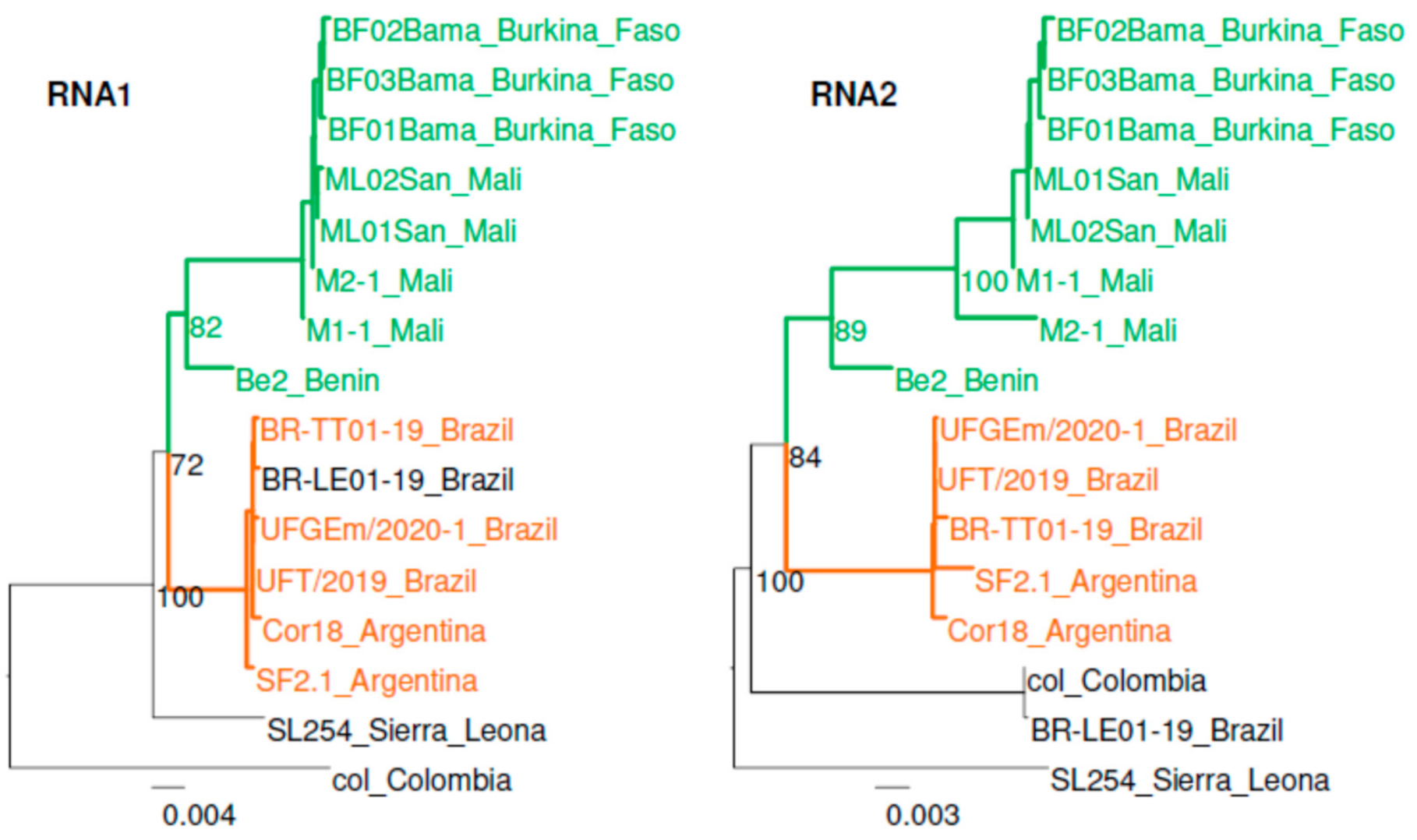 Viruses 13 00737 g004 Viruses 13 00737 g004
