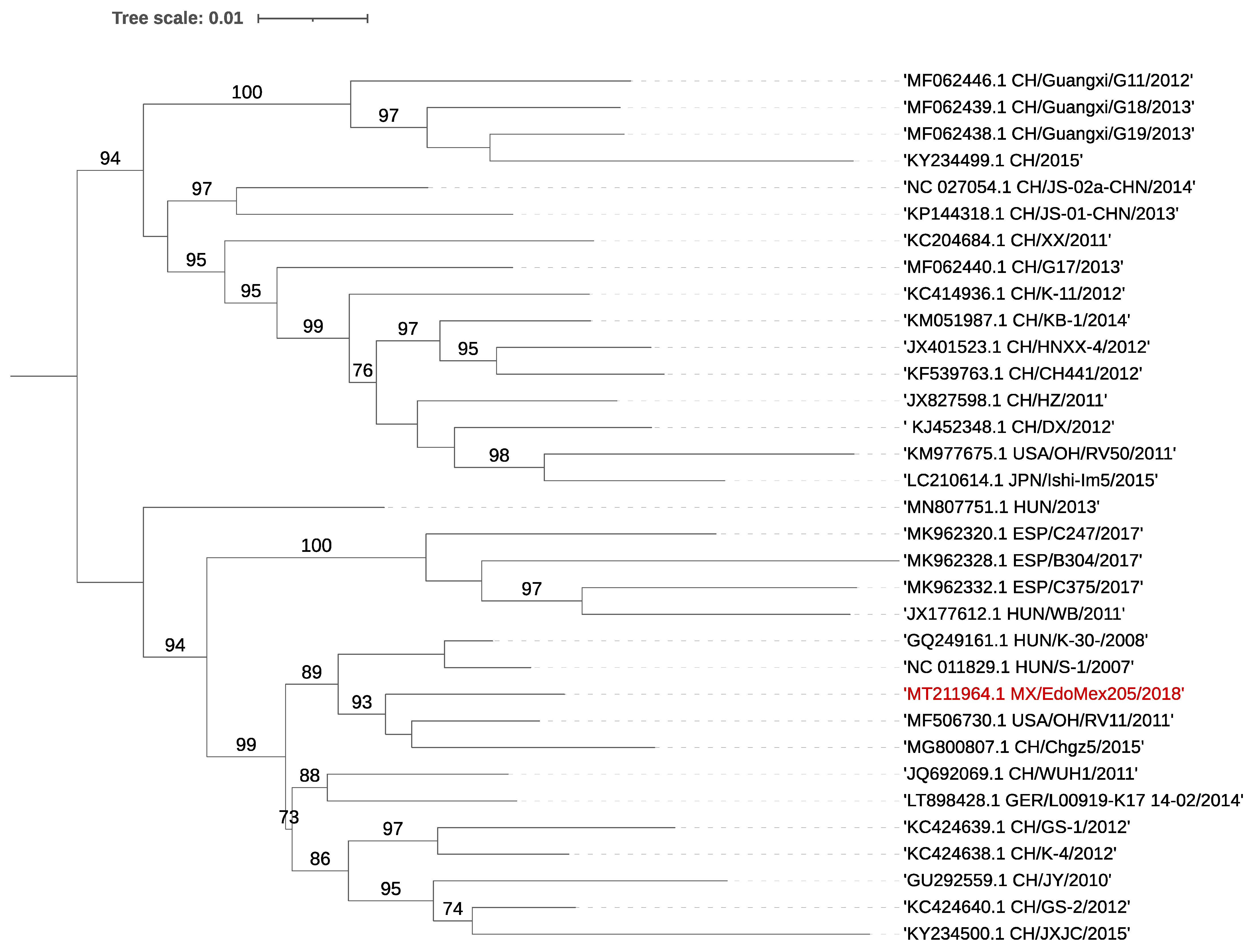 Viruses 13 00738 g001
