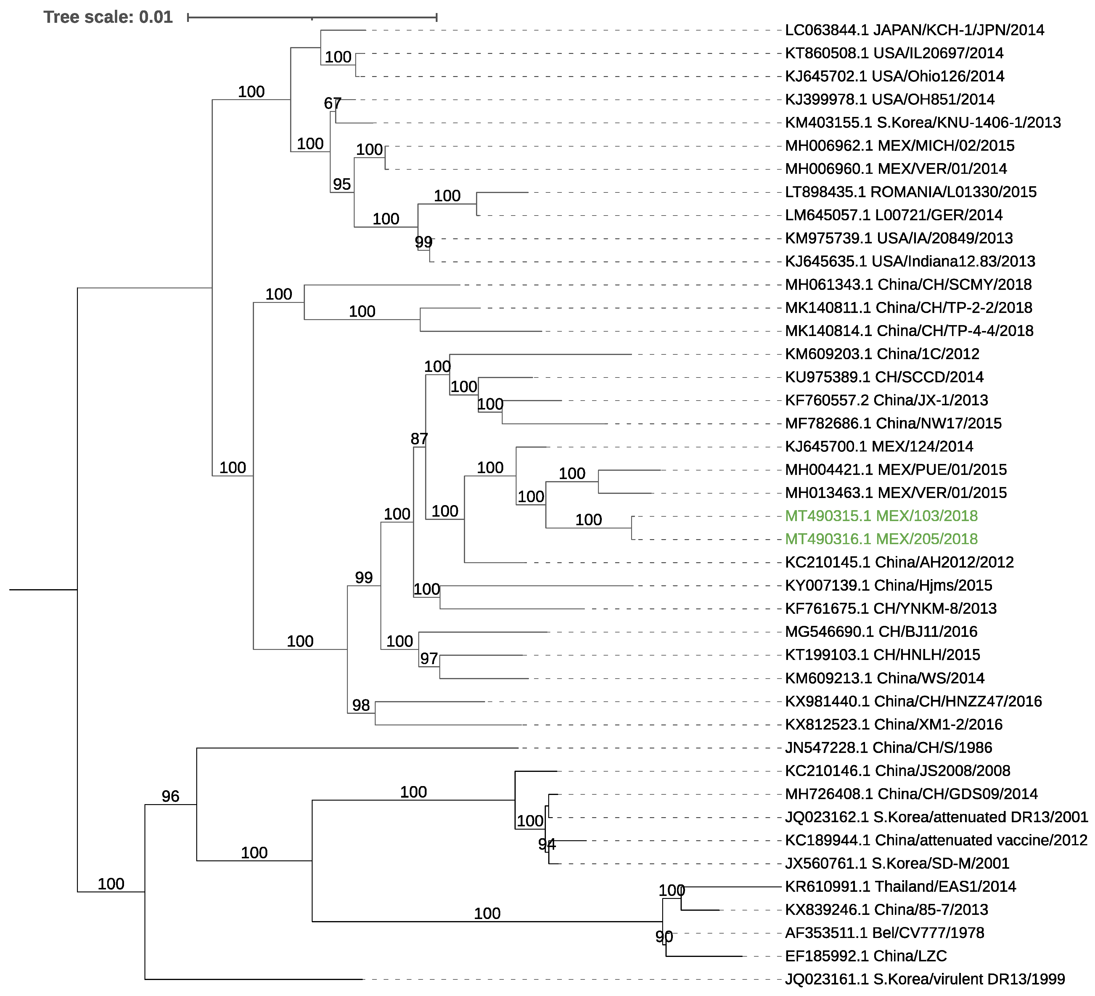 Viruses 13 00738 g002