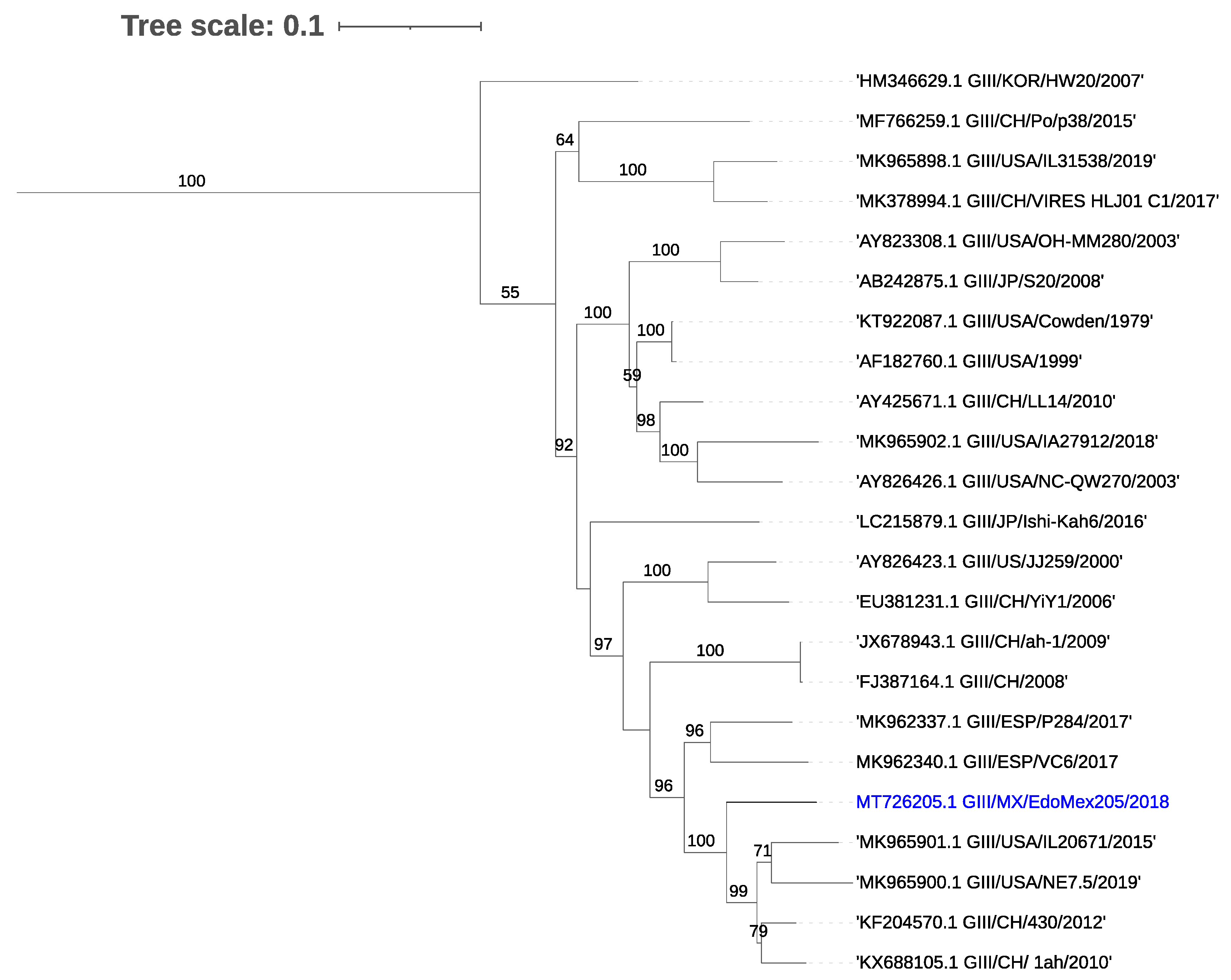 Viruses 13 00738 g003