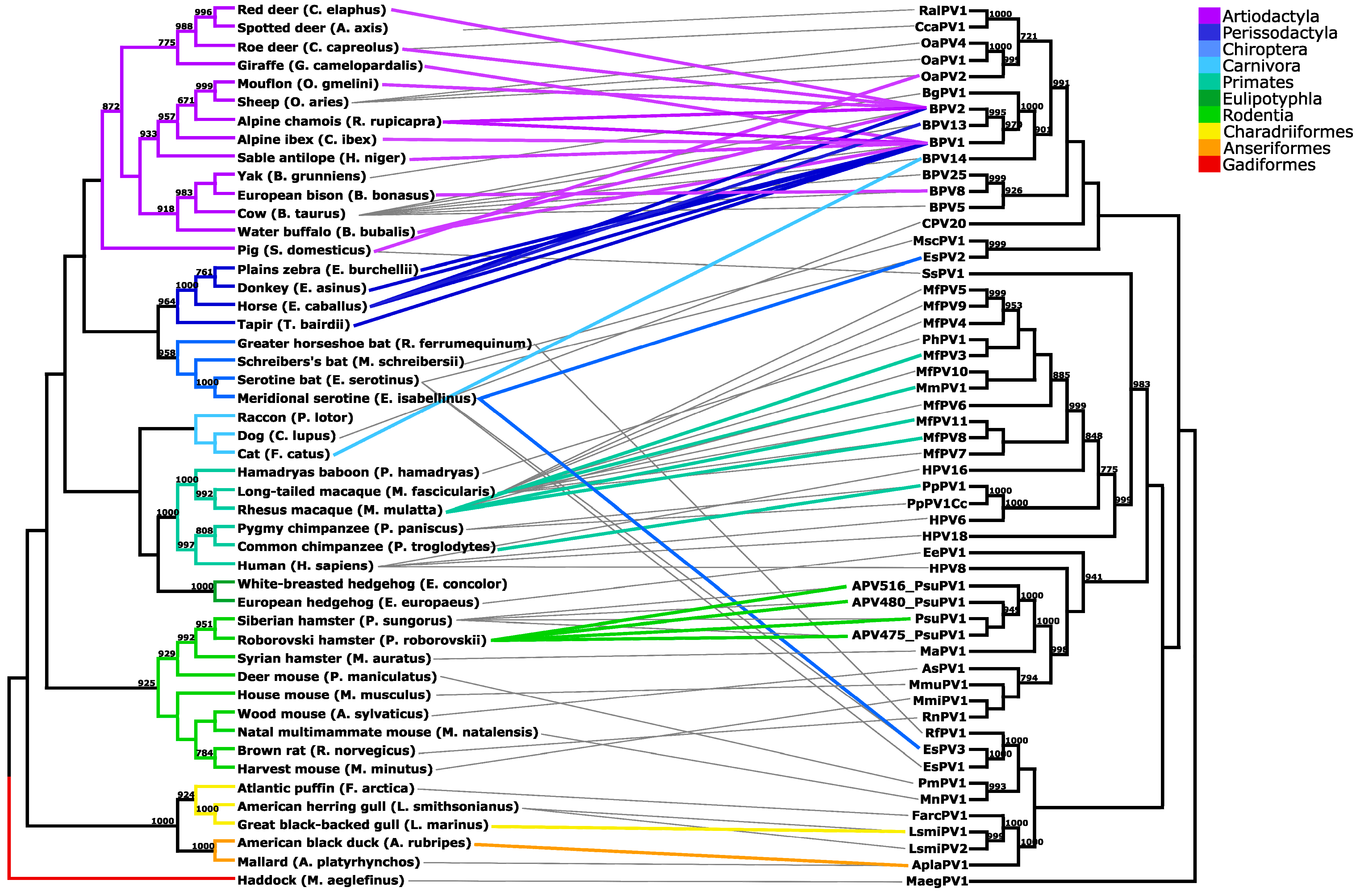 Viruses 13 00739 g001