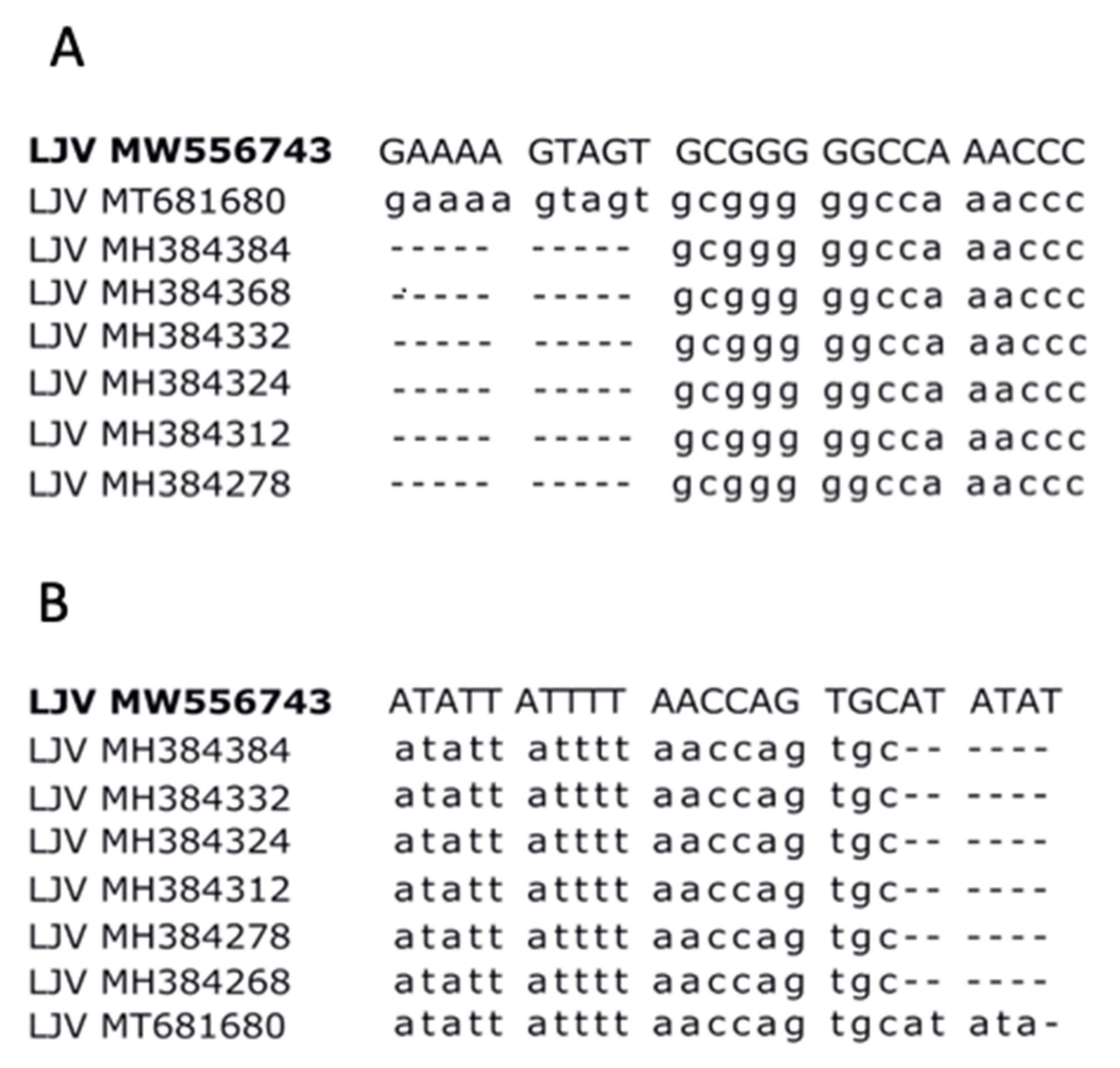 Viruses 13 00740 g003