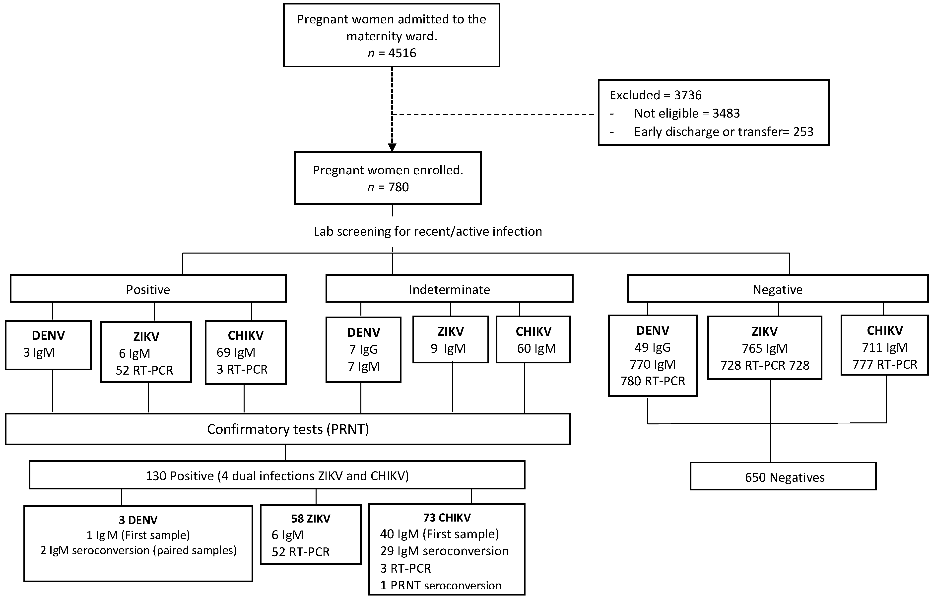 Viruses 13 00744 g001
