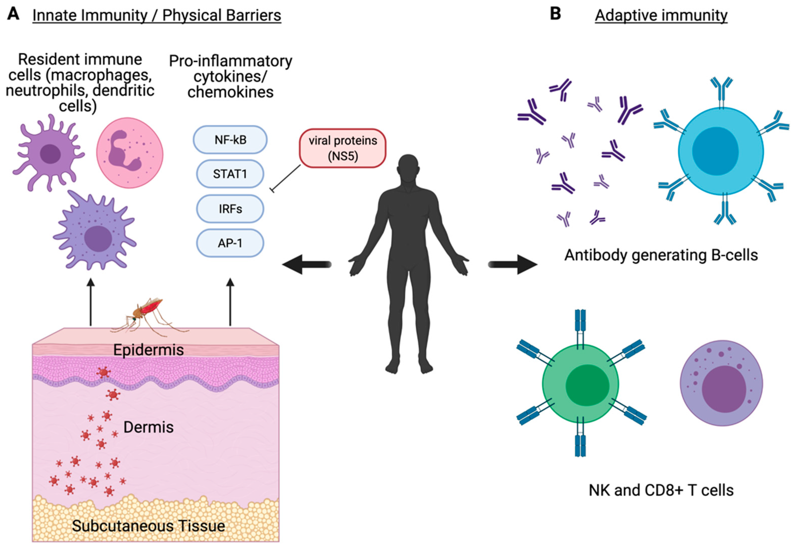 Viruses 13 00748 g002
