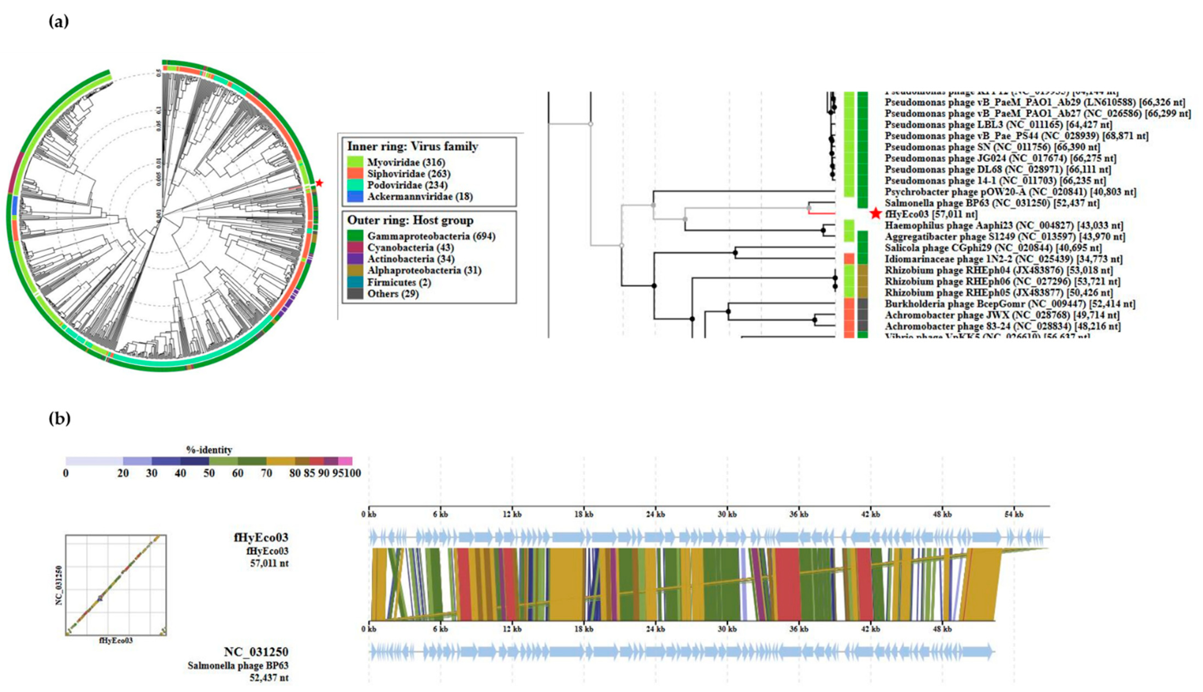 Viruses 13 00750 g002