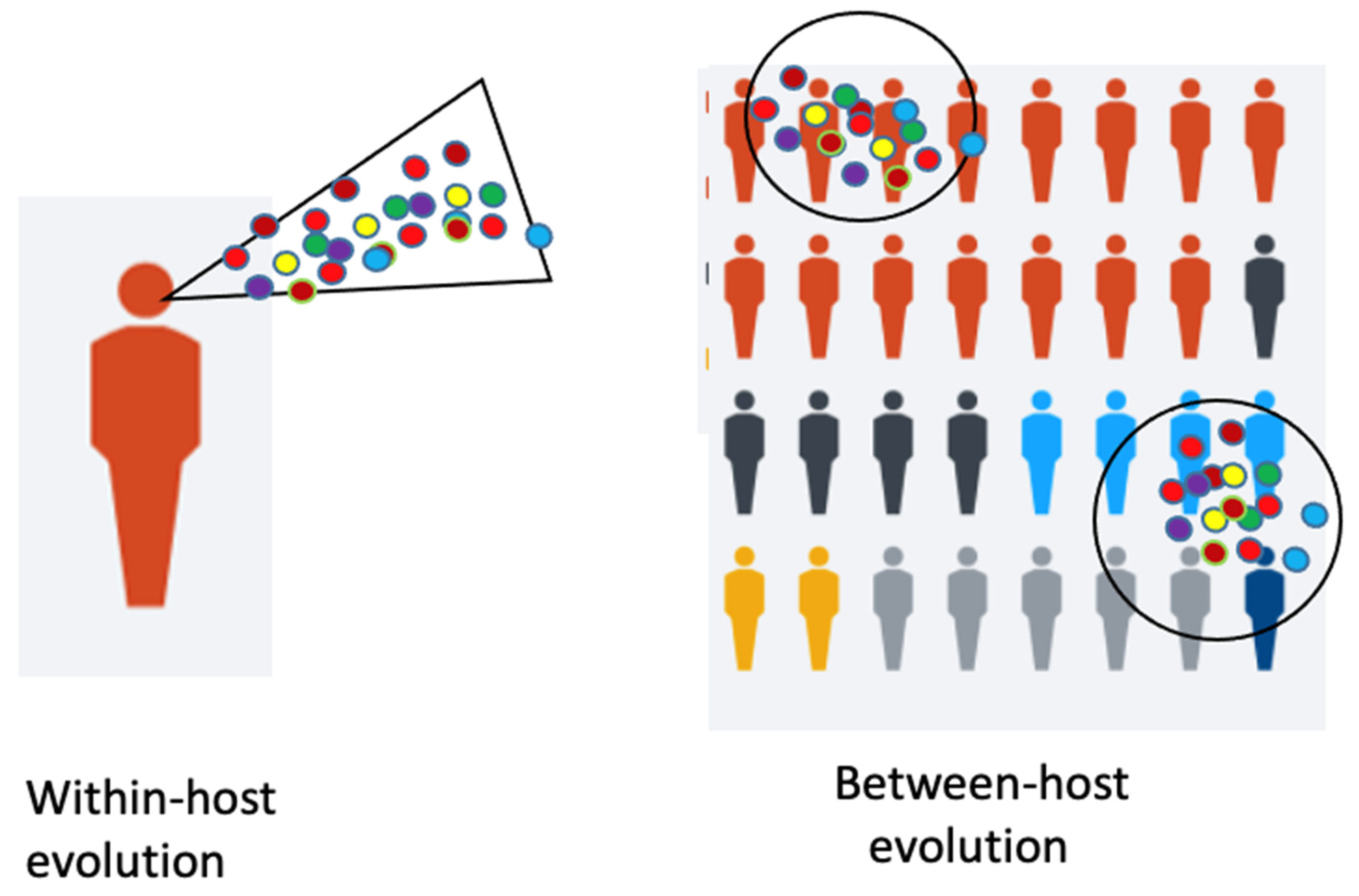 Viruses 13 00751 g001