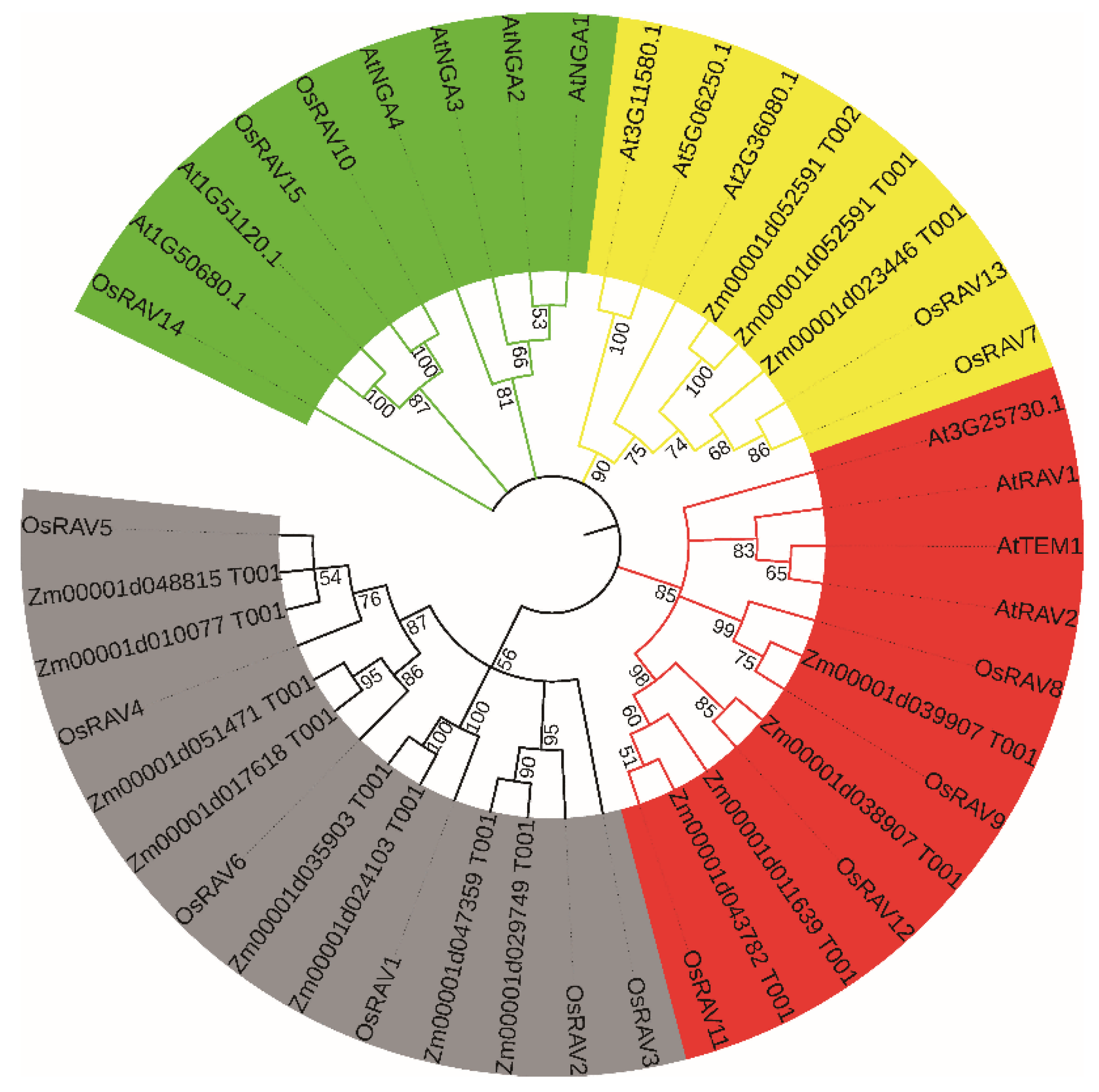 Viruses 13 00752 g002