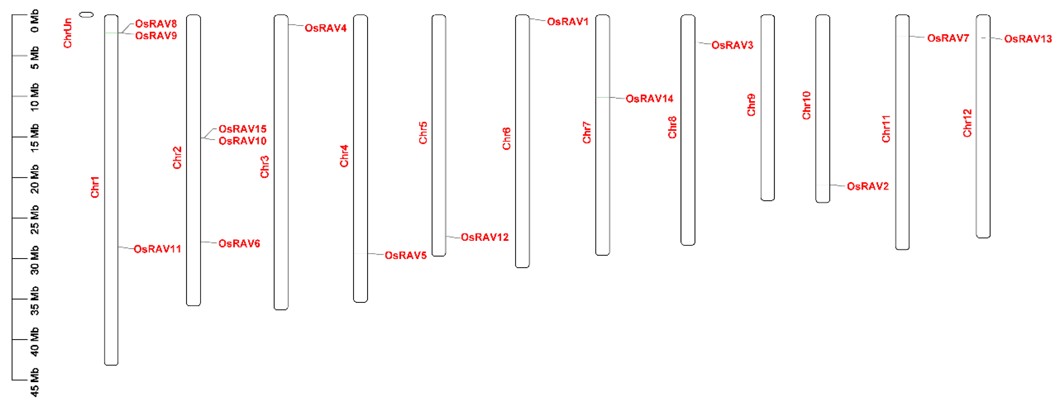 Viruses 13 00752 g004