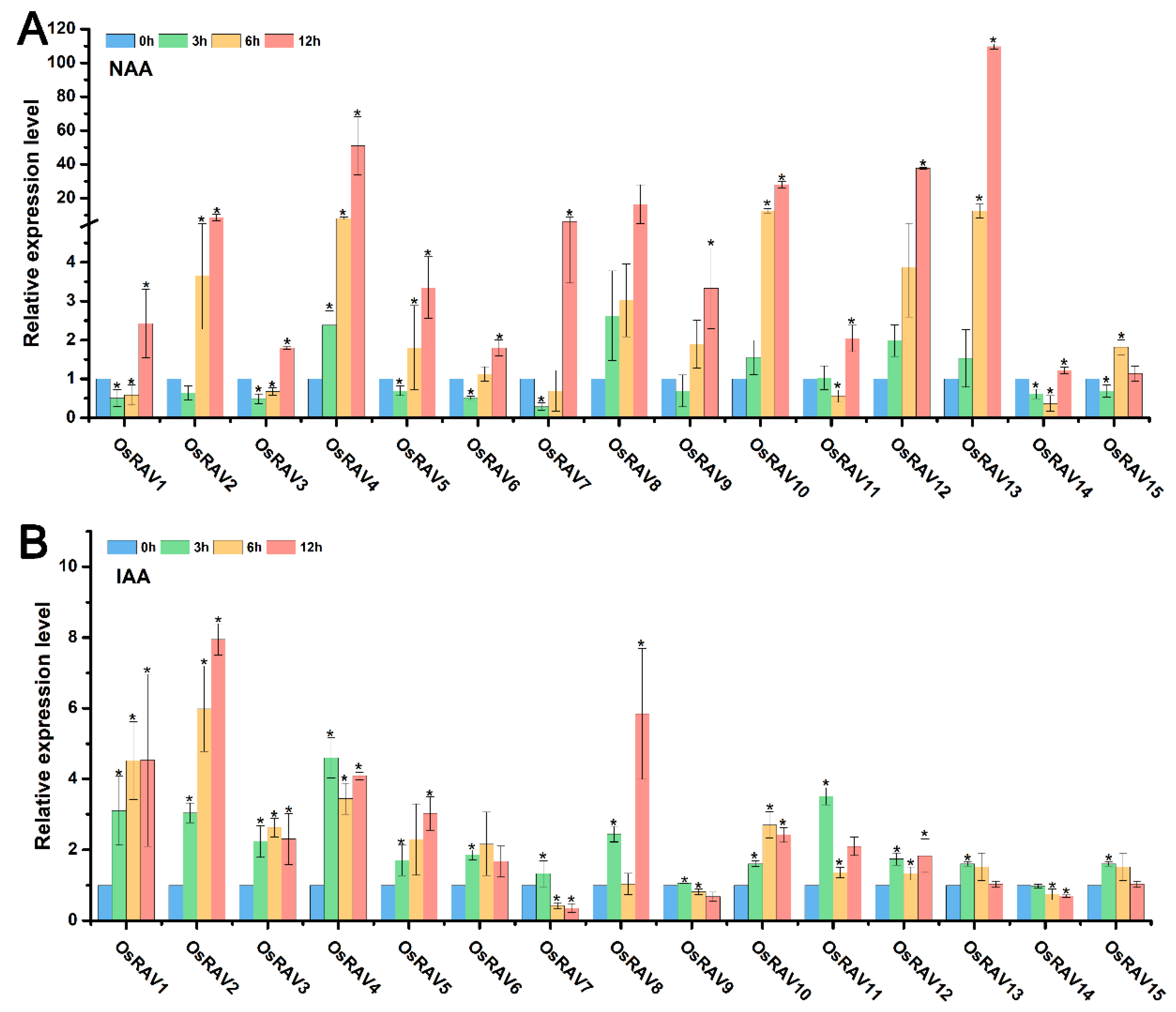 Viruses 13 00752 g005