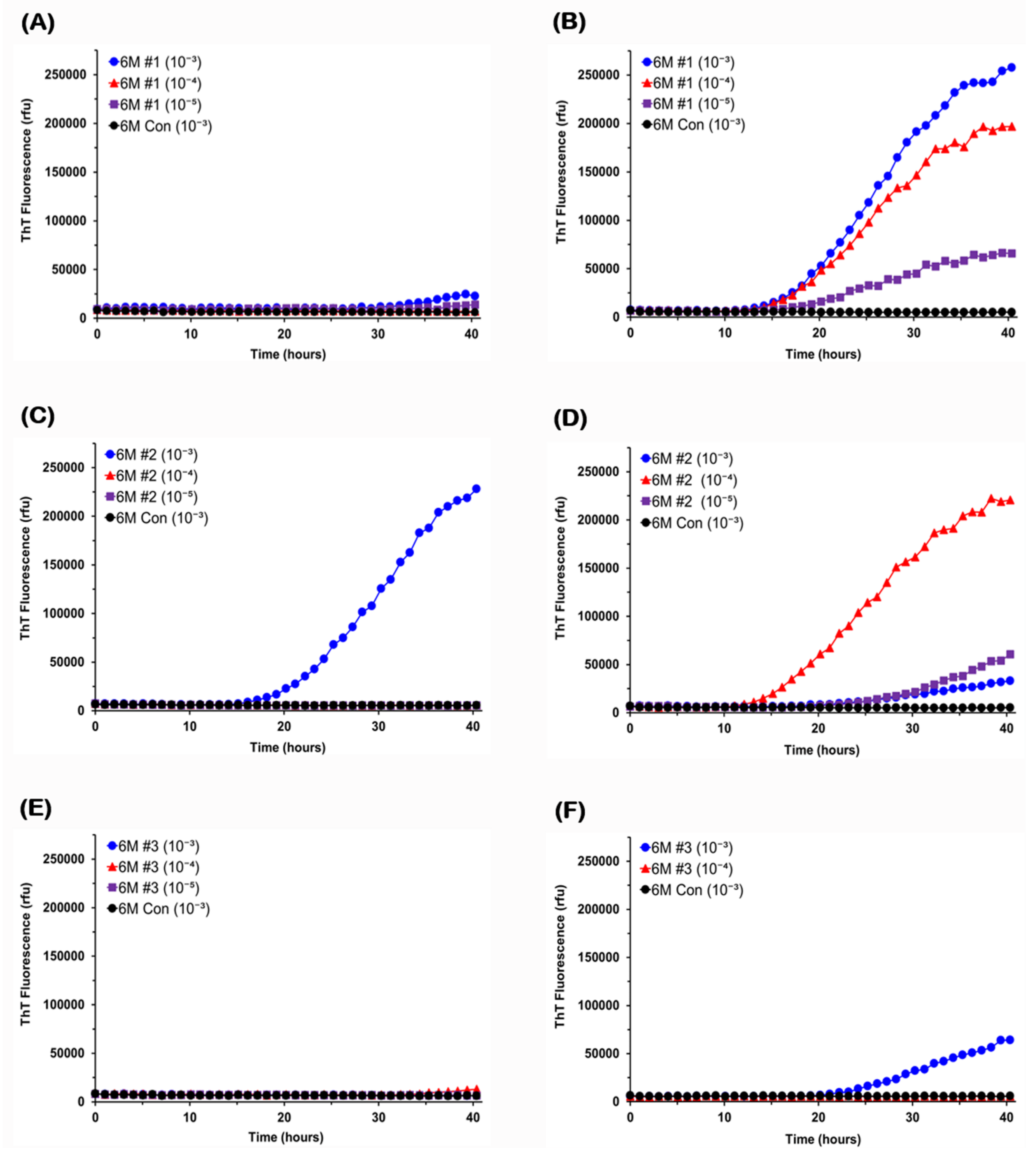 Viruses 13 00759 g002