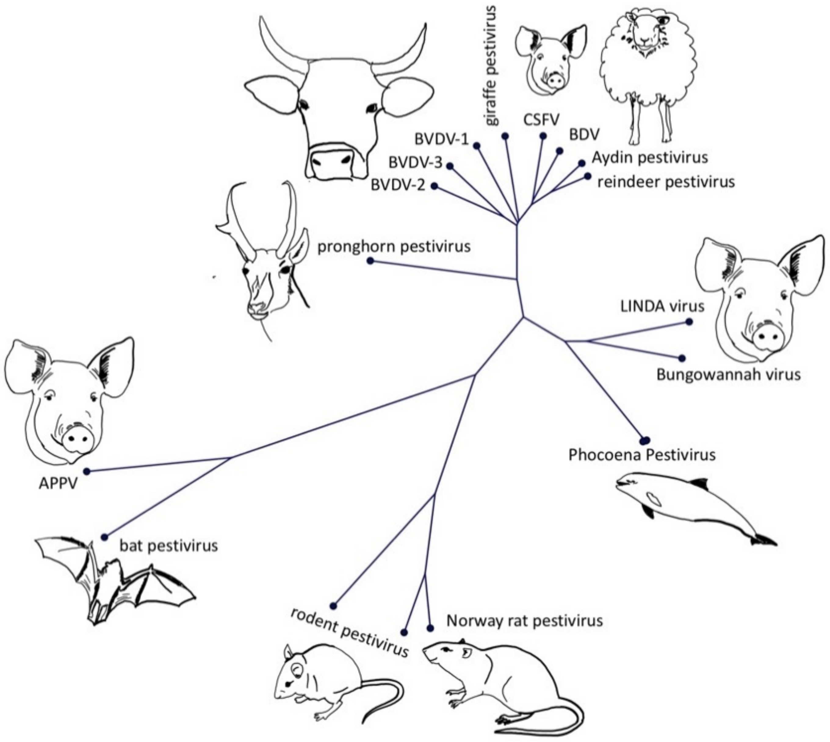 Viruses 13 00760 g002