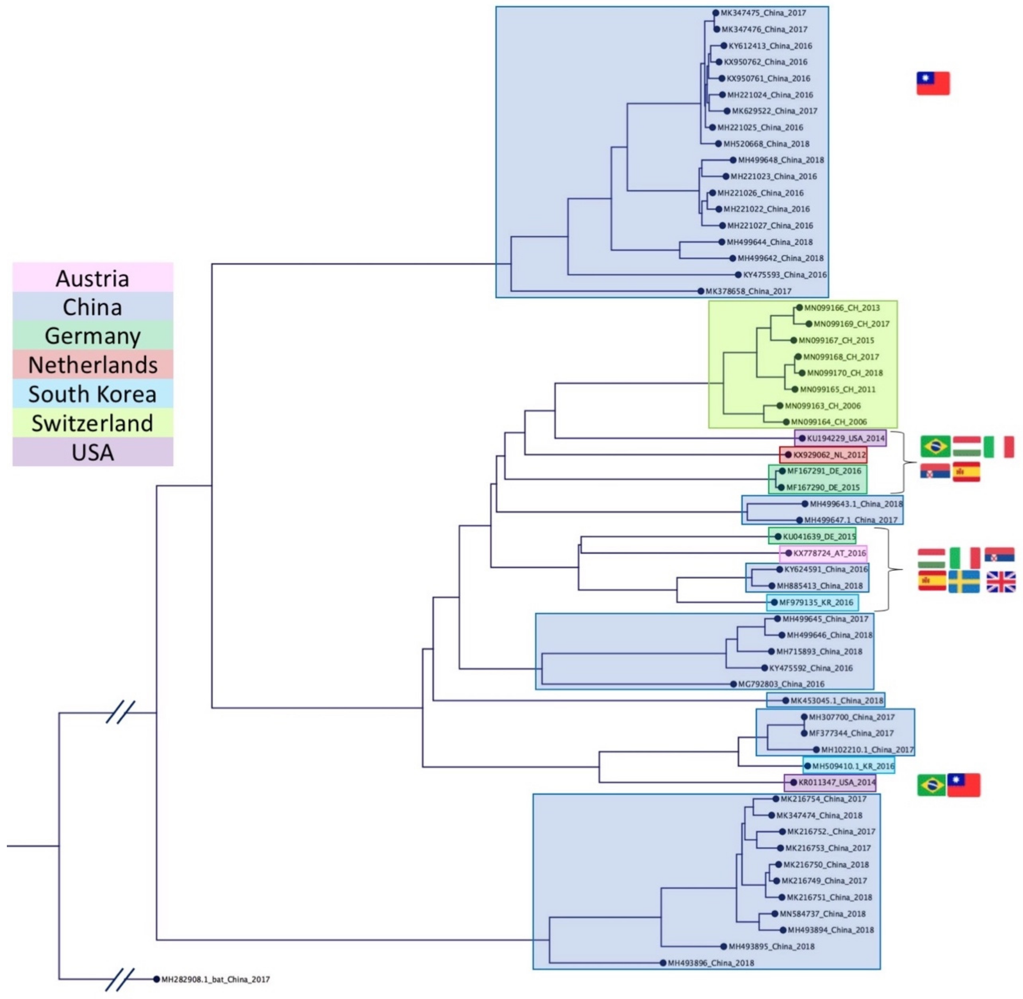 Viruses 13 00760 g003
