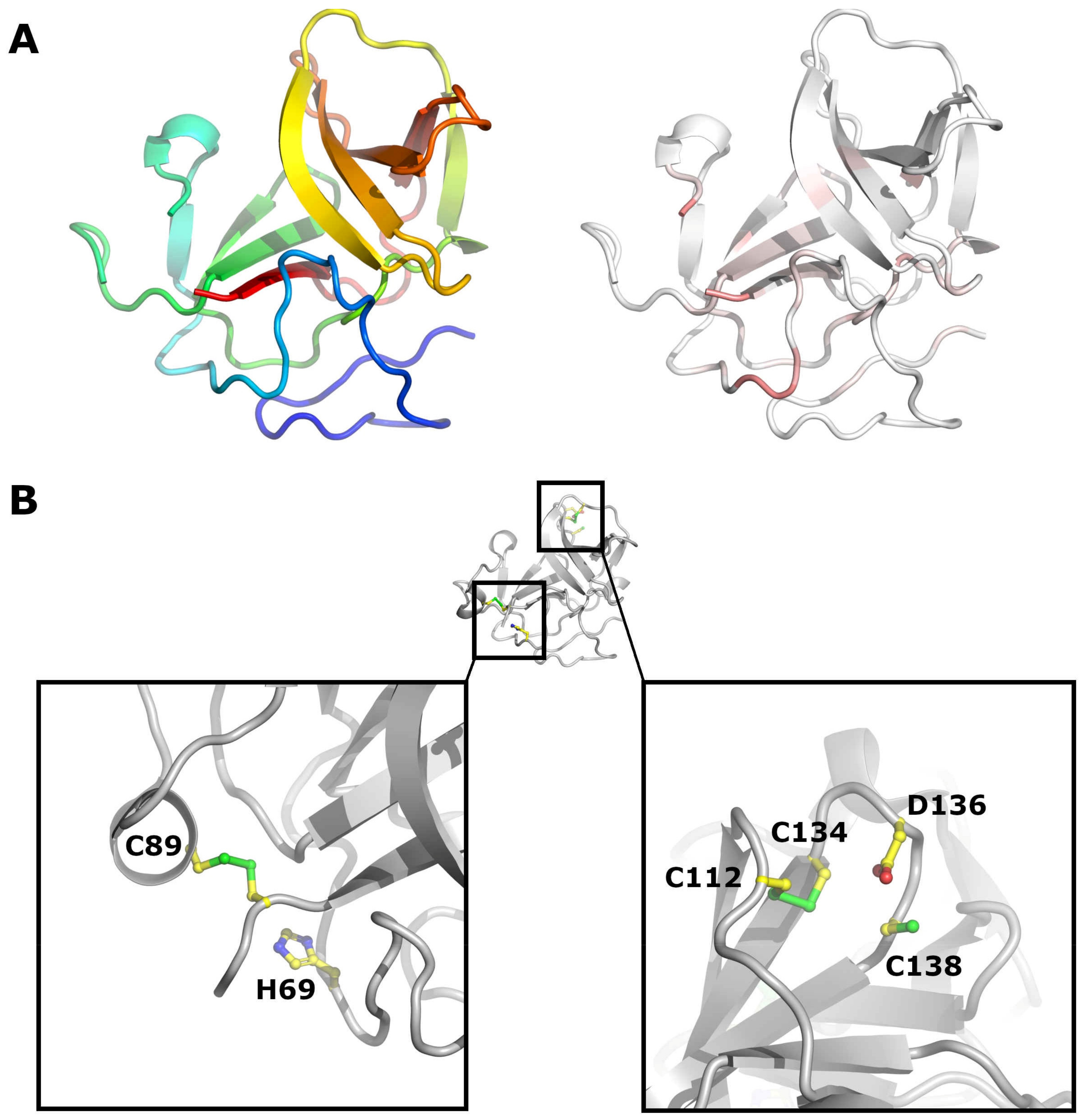 Viruses 13 00760 g004