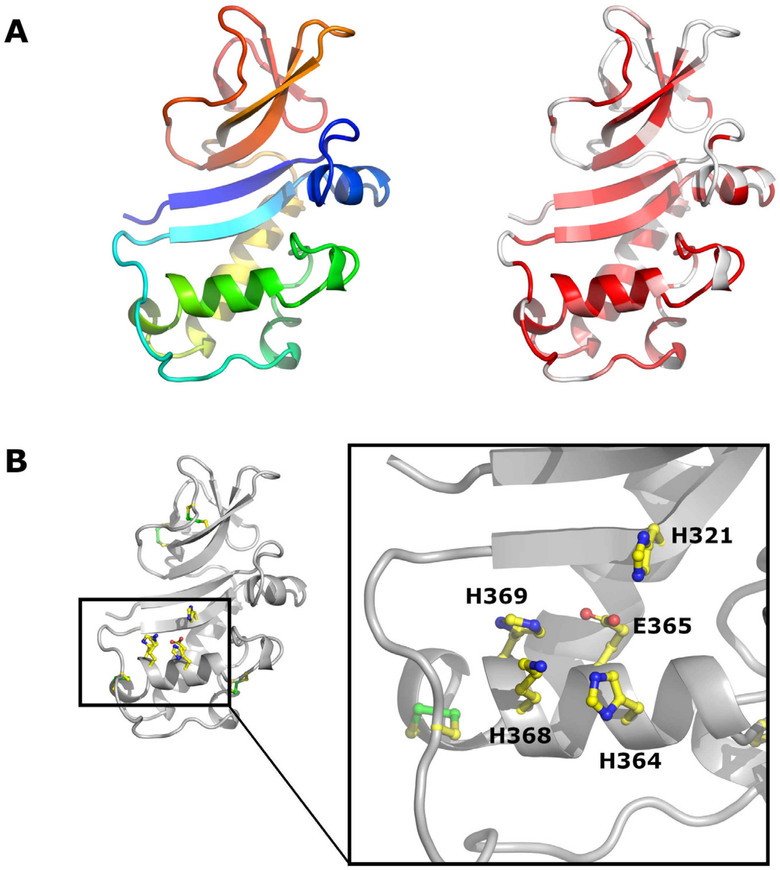 Viruses 13 00760 g005
