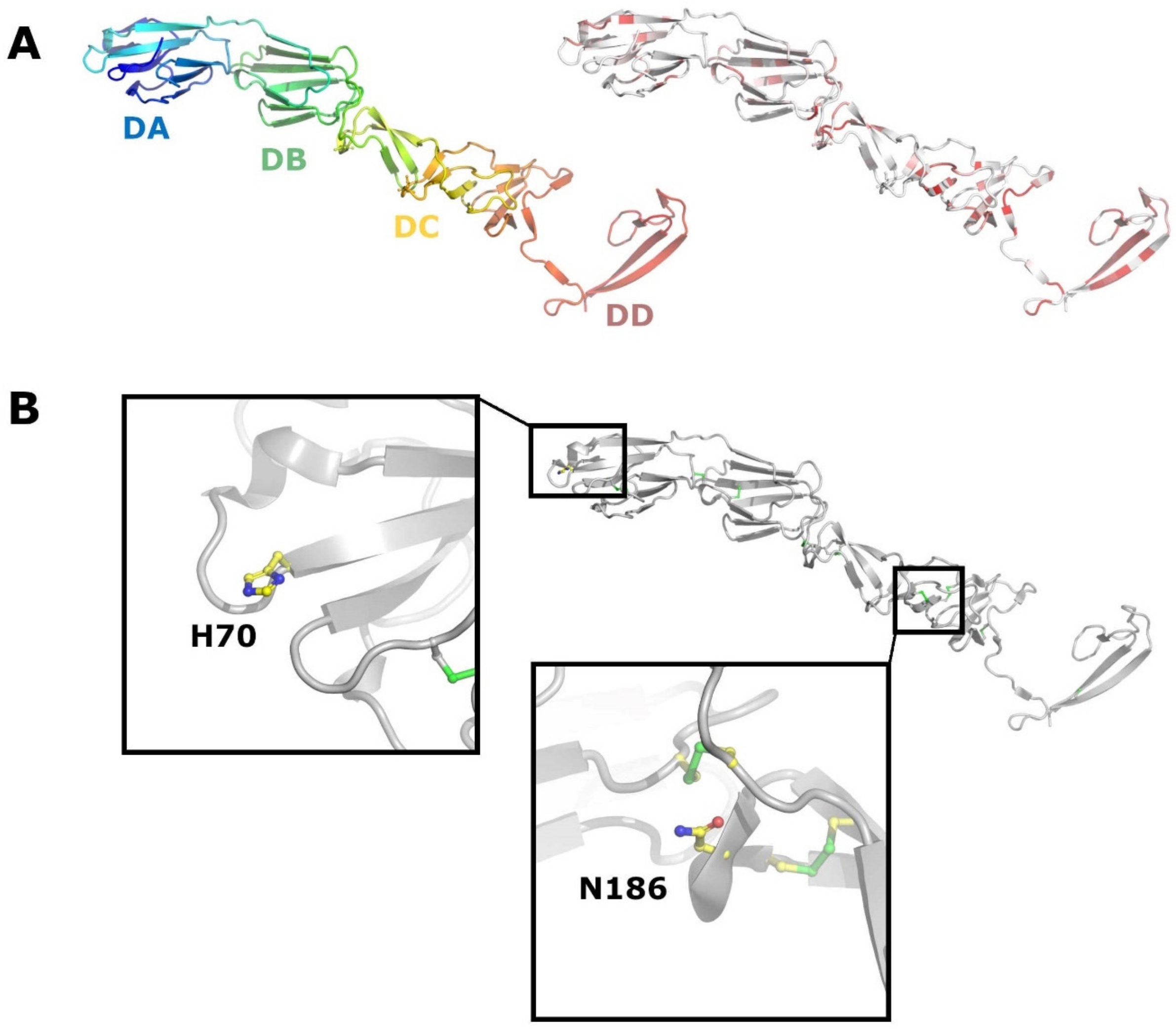Viruses 13 00760 g006