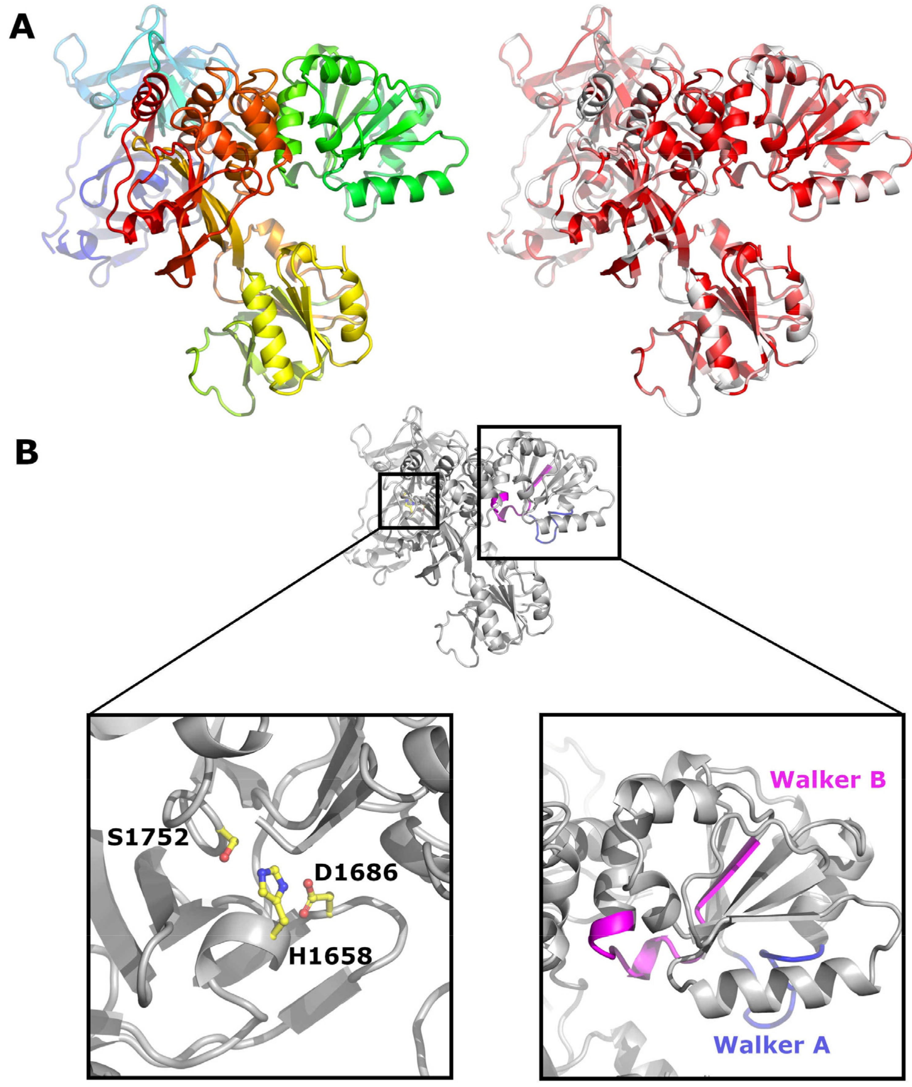 Viruses 13 00760 g007