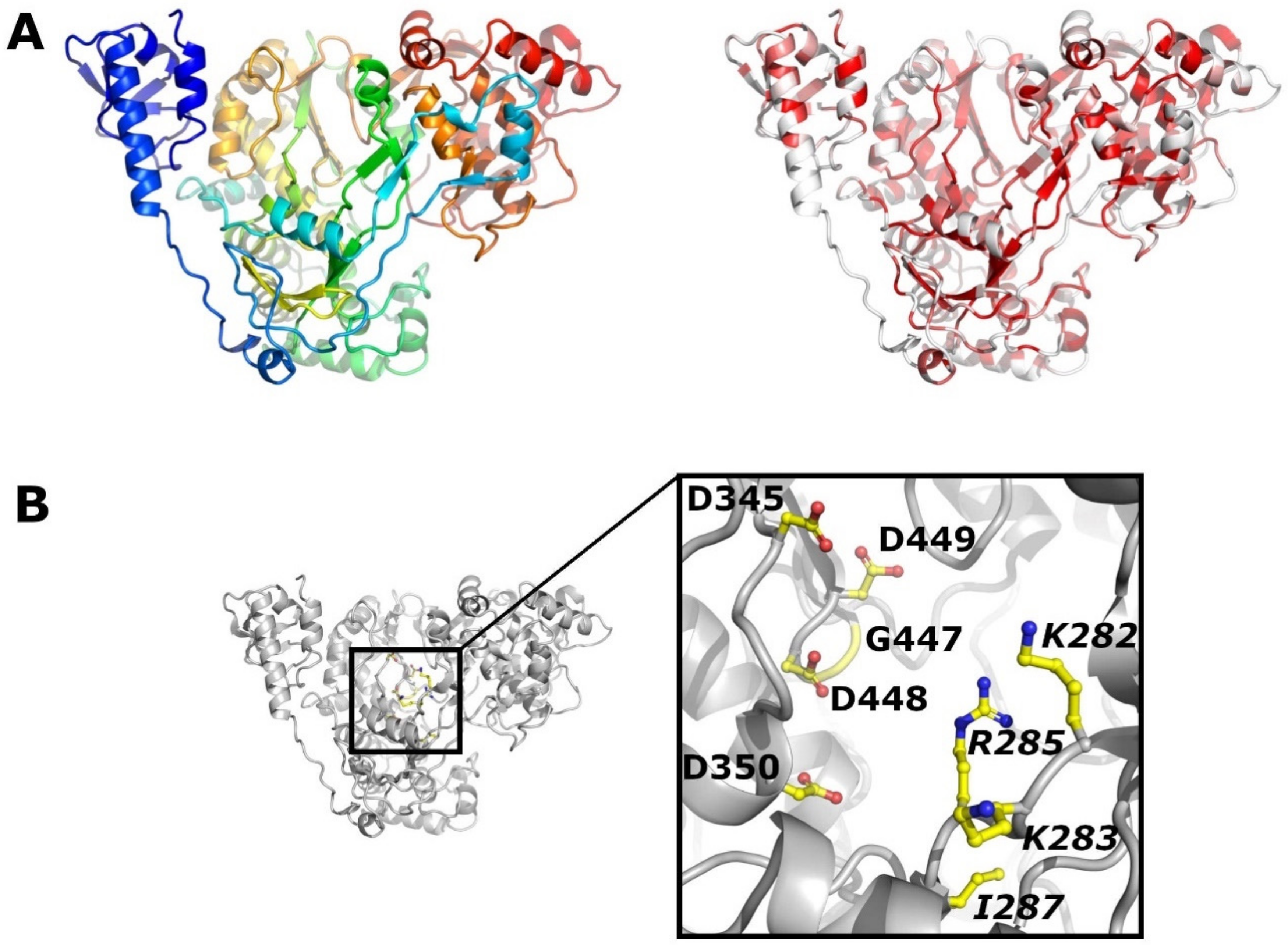 Viruses 13 00760 g008
