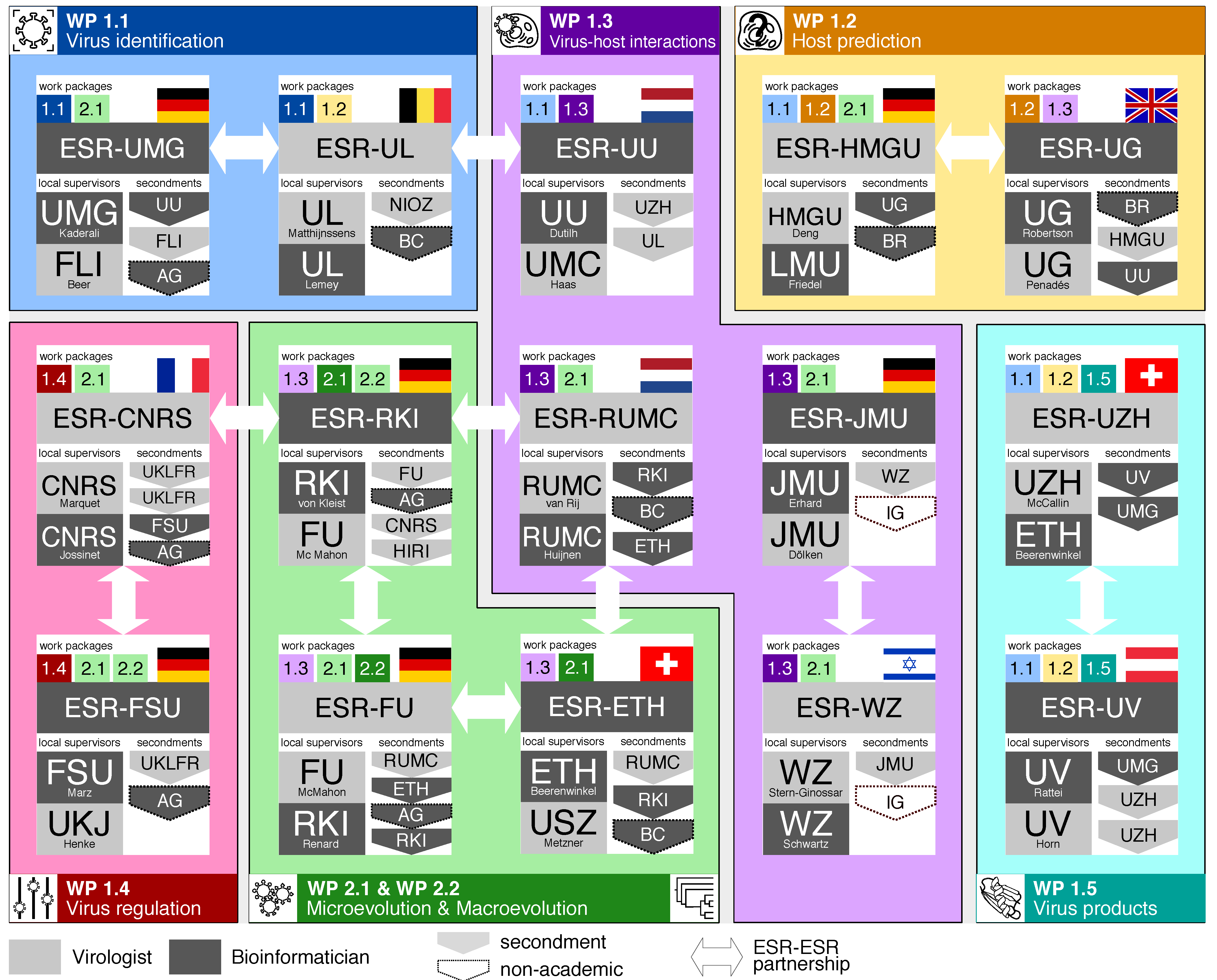 Viruses 13 00766 g002