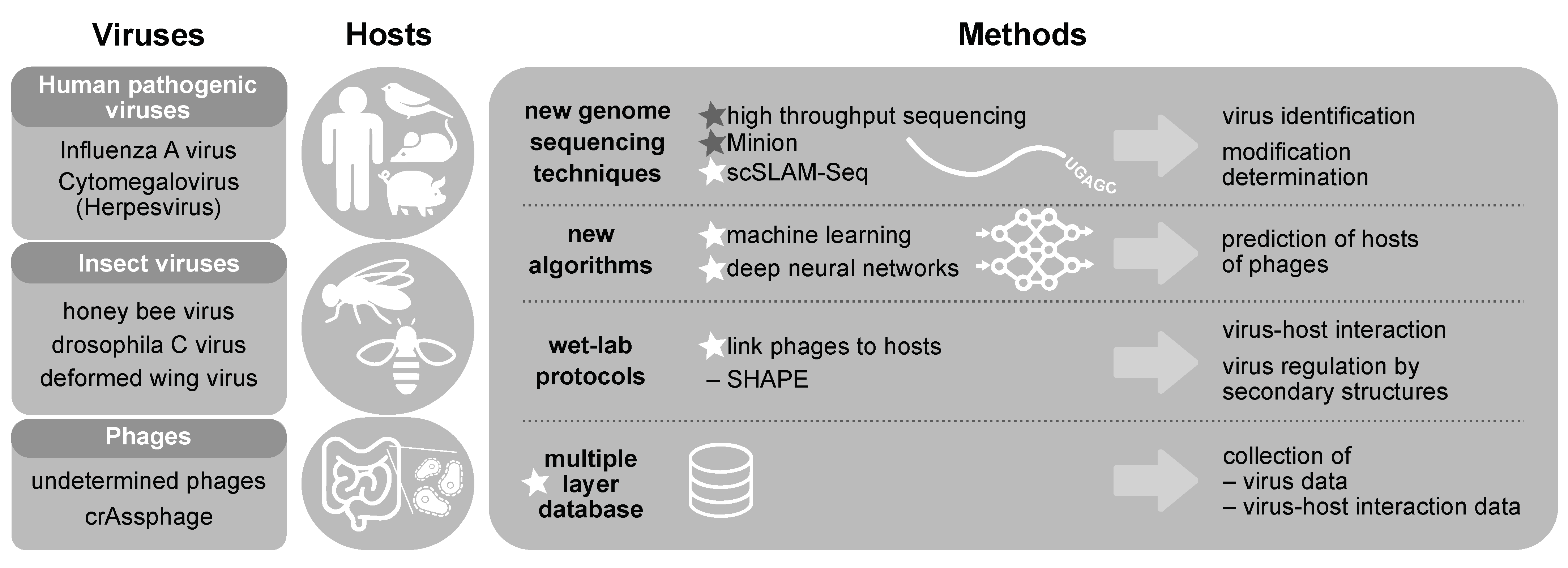 Viruses 13 00766 g003