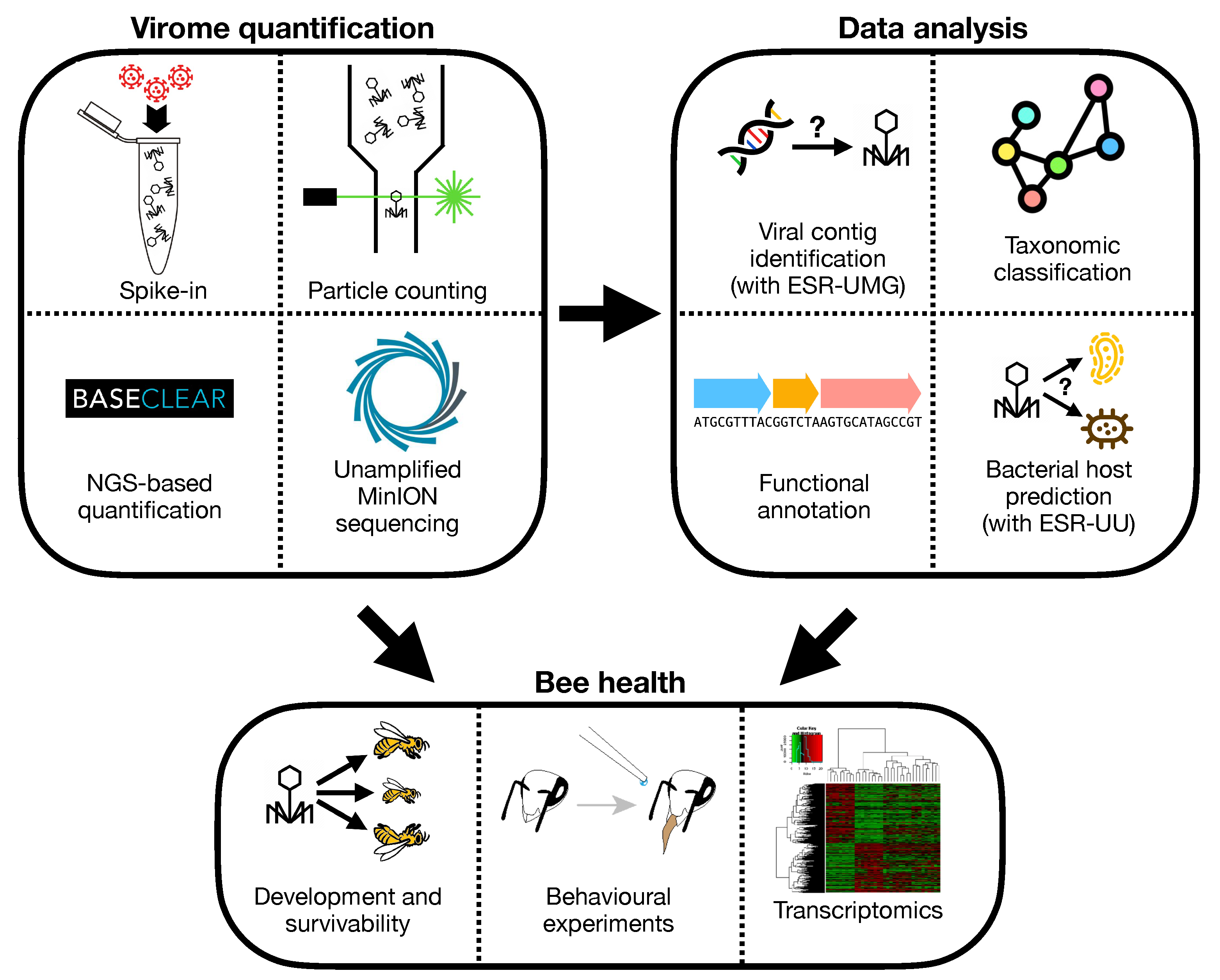 Viruses 13 00766 g004