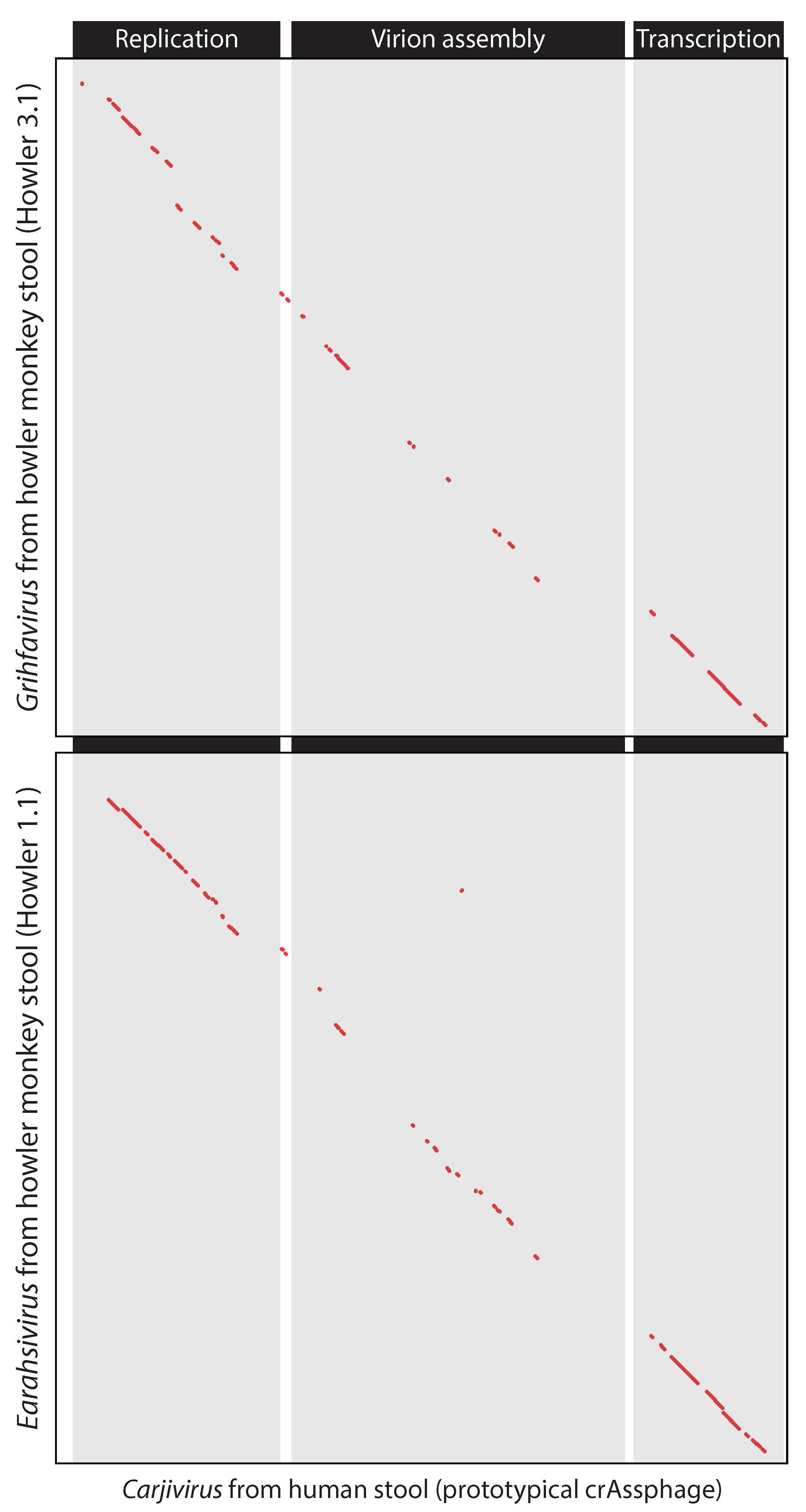 Viruses 13 00766 g006