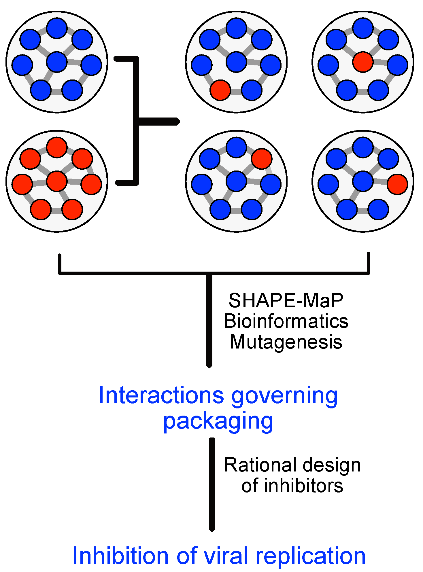 Viruses 13 00766 g009