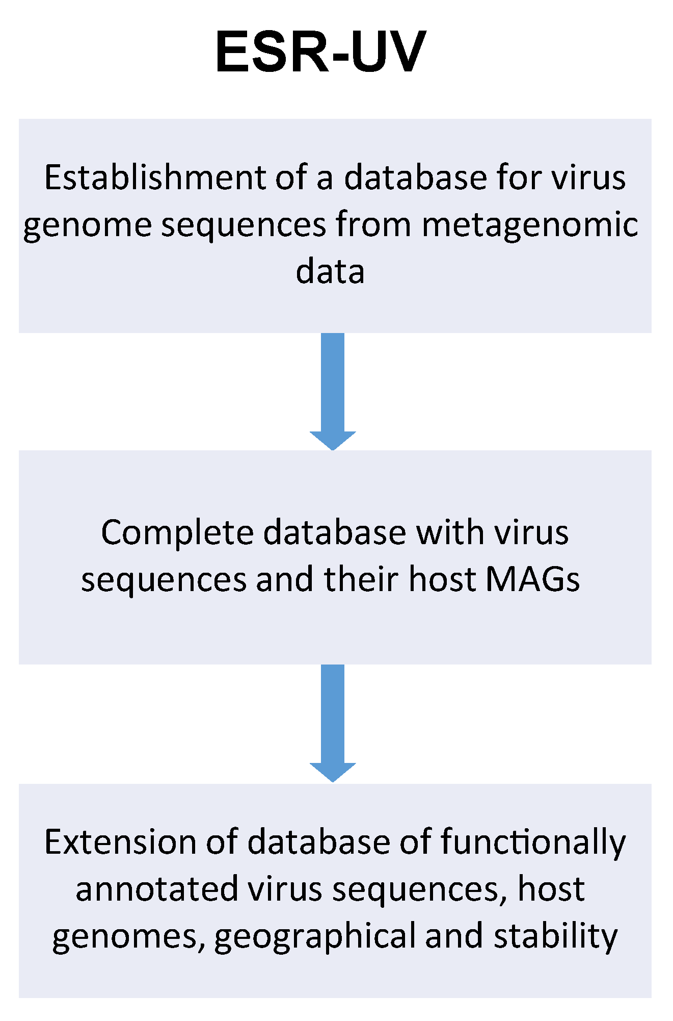 Viruses 13 00766 g010
